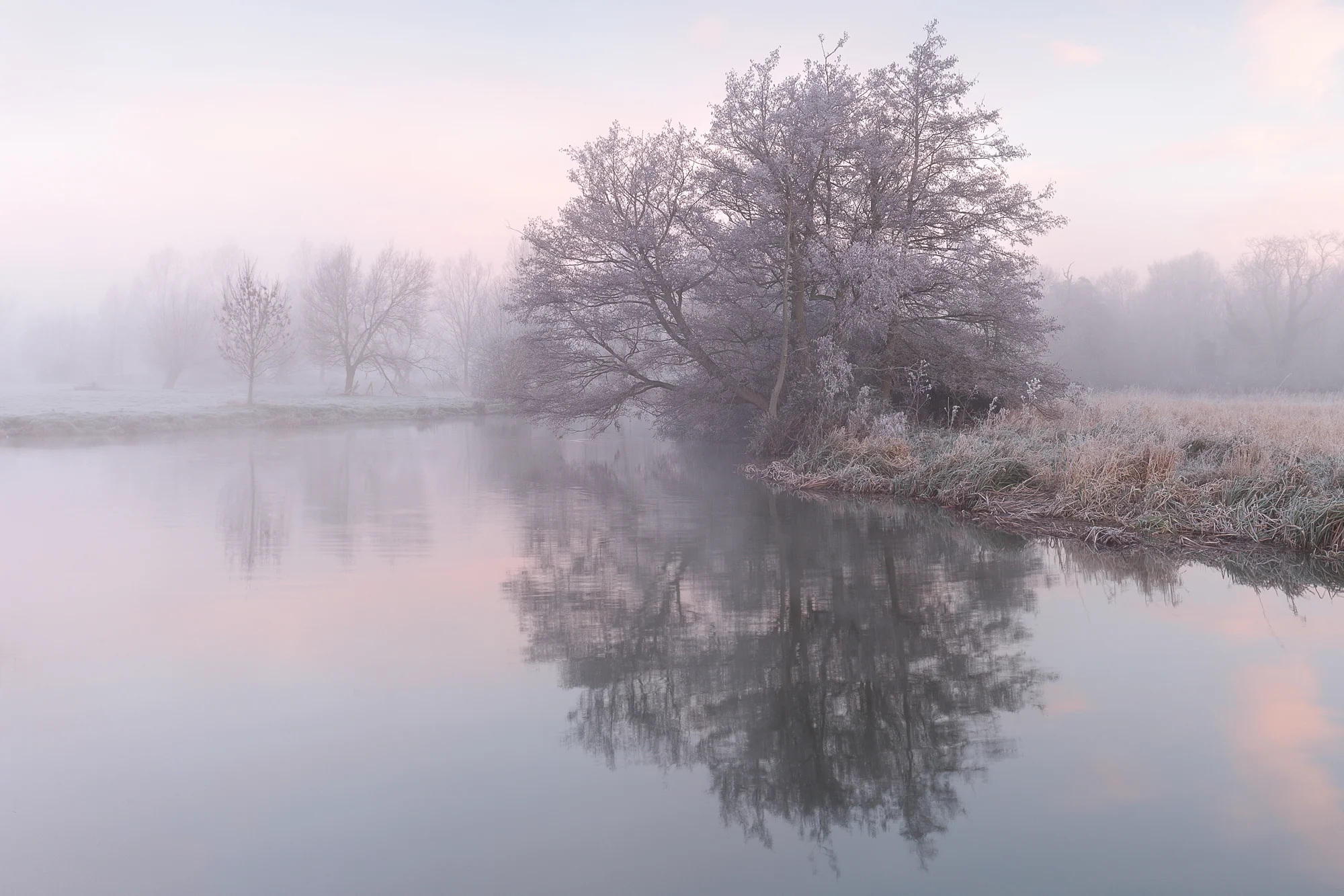  January - River Stour, Suffolk