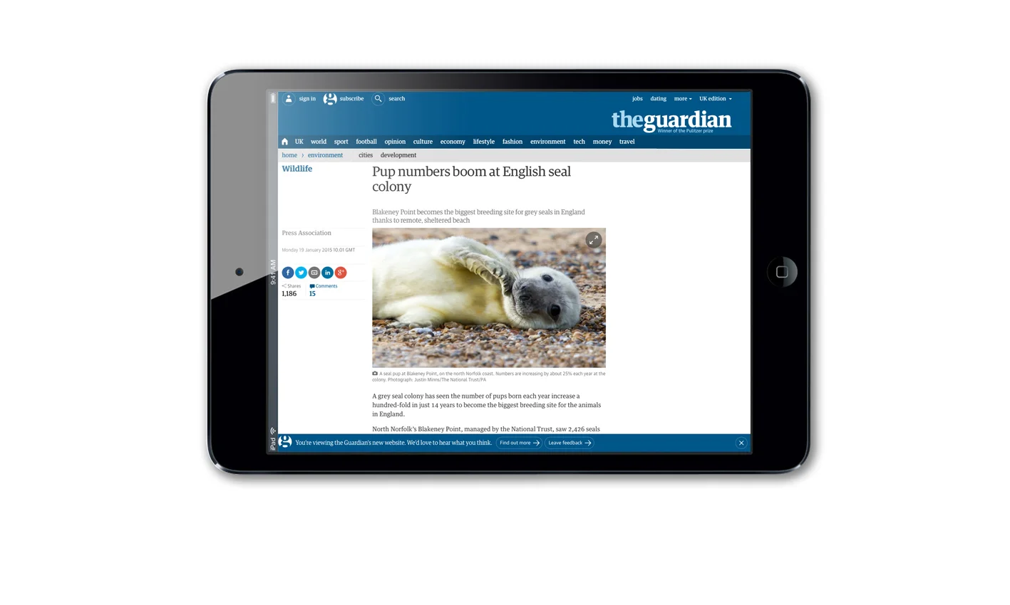 guradian 0115.jpg