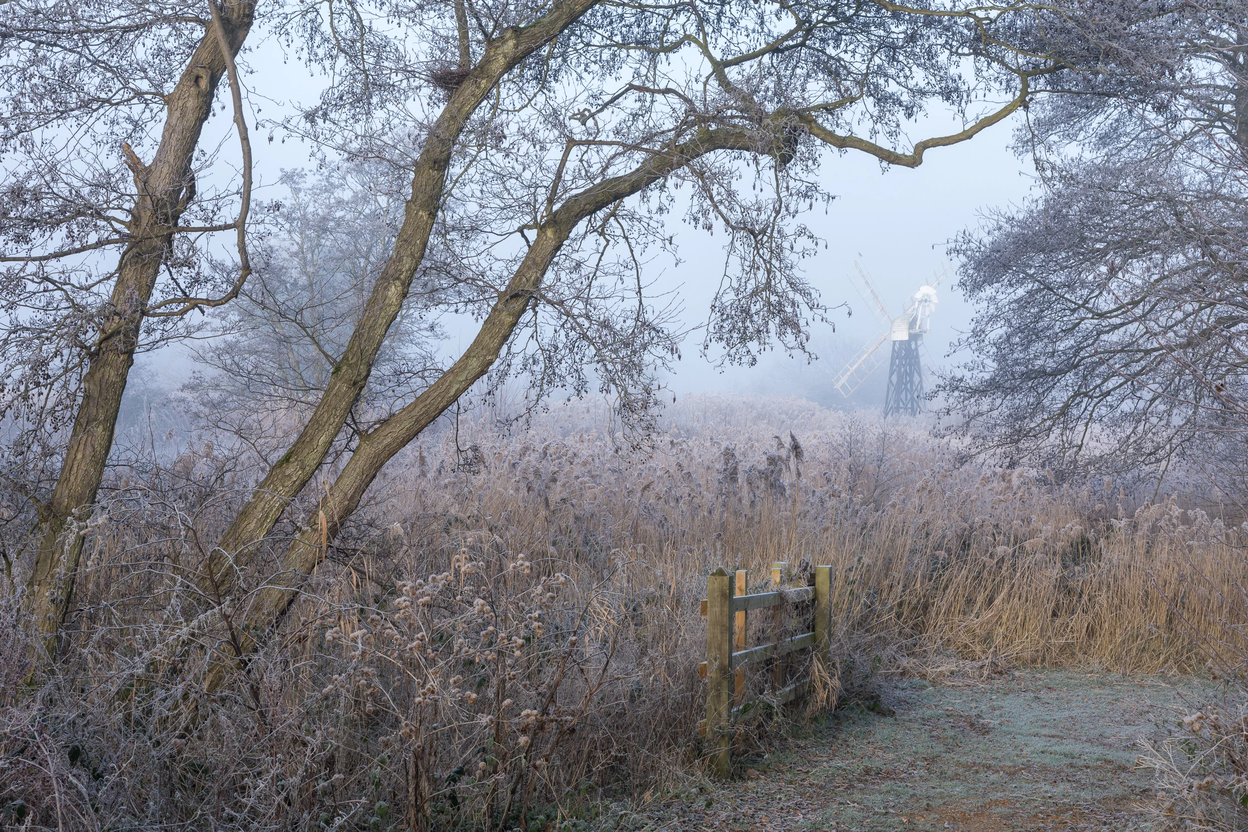 Framework Turf Fen, Norfolk