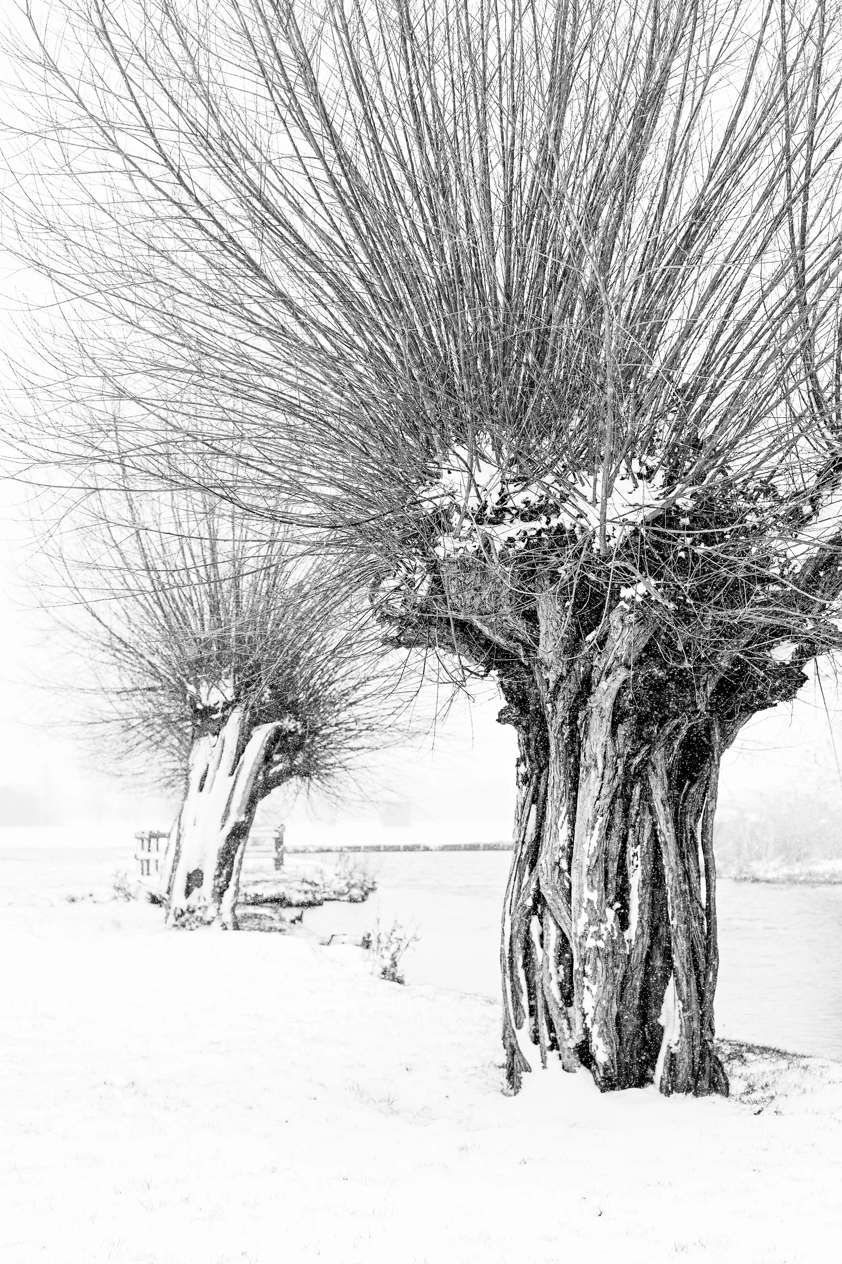 White out - Flatford, Suffolk