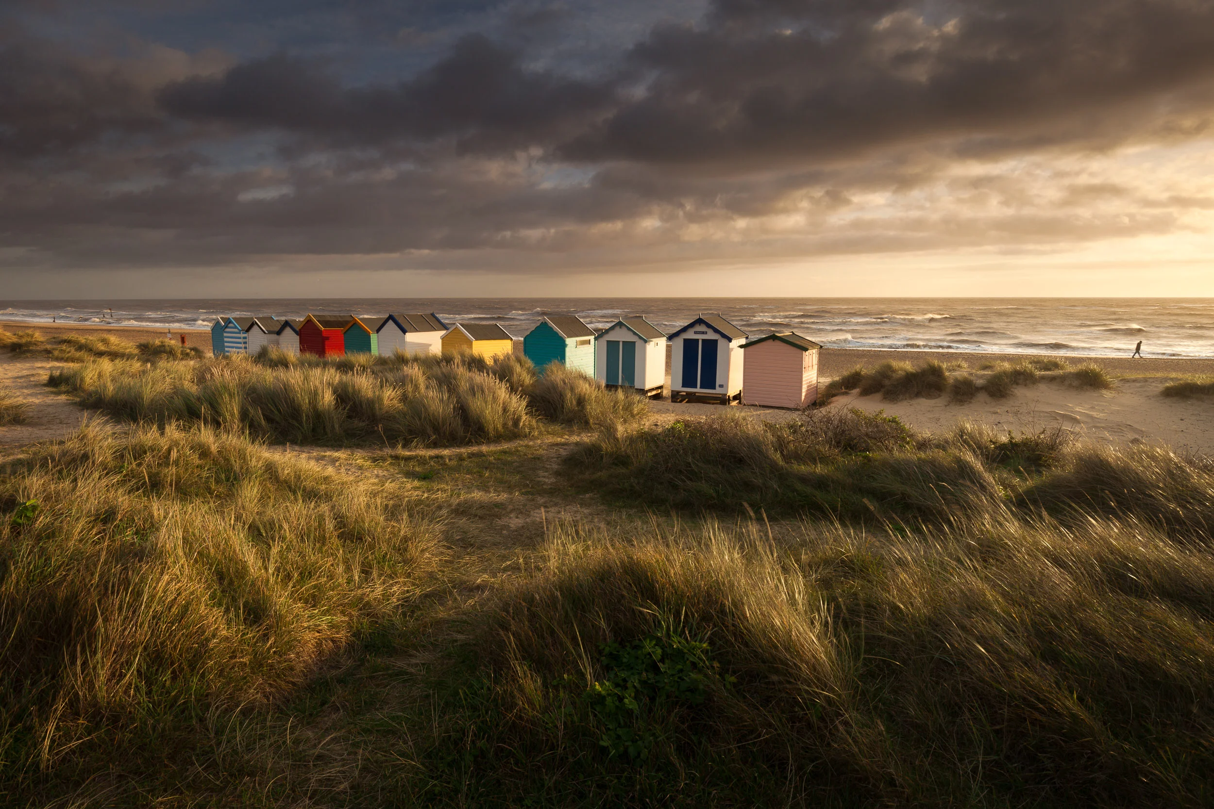 In the dunes Southwold, Suffolk