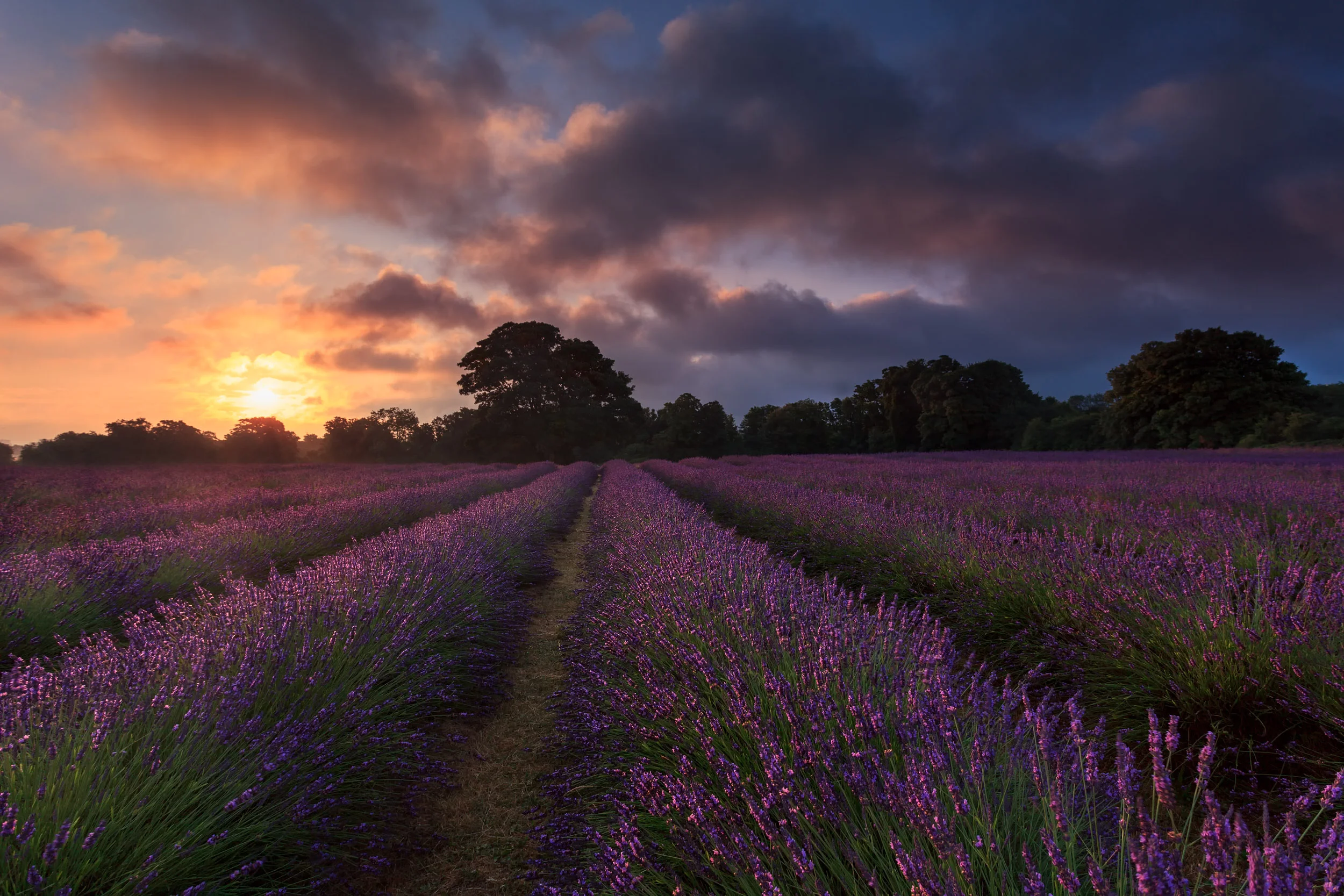 Dawn at Mayfield