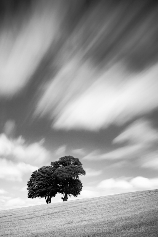 Summer Breeze