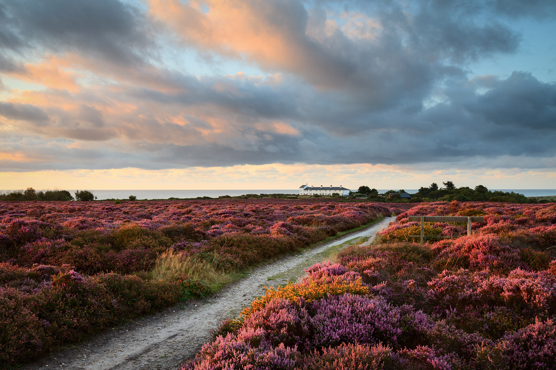 Sunrise at Dunwich Heath, Suffolk