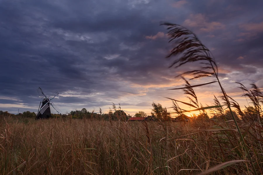 The windpump at Wicken Fen, Cambridgeshire