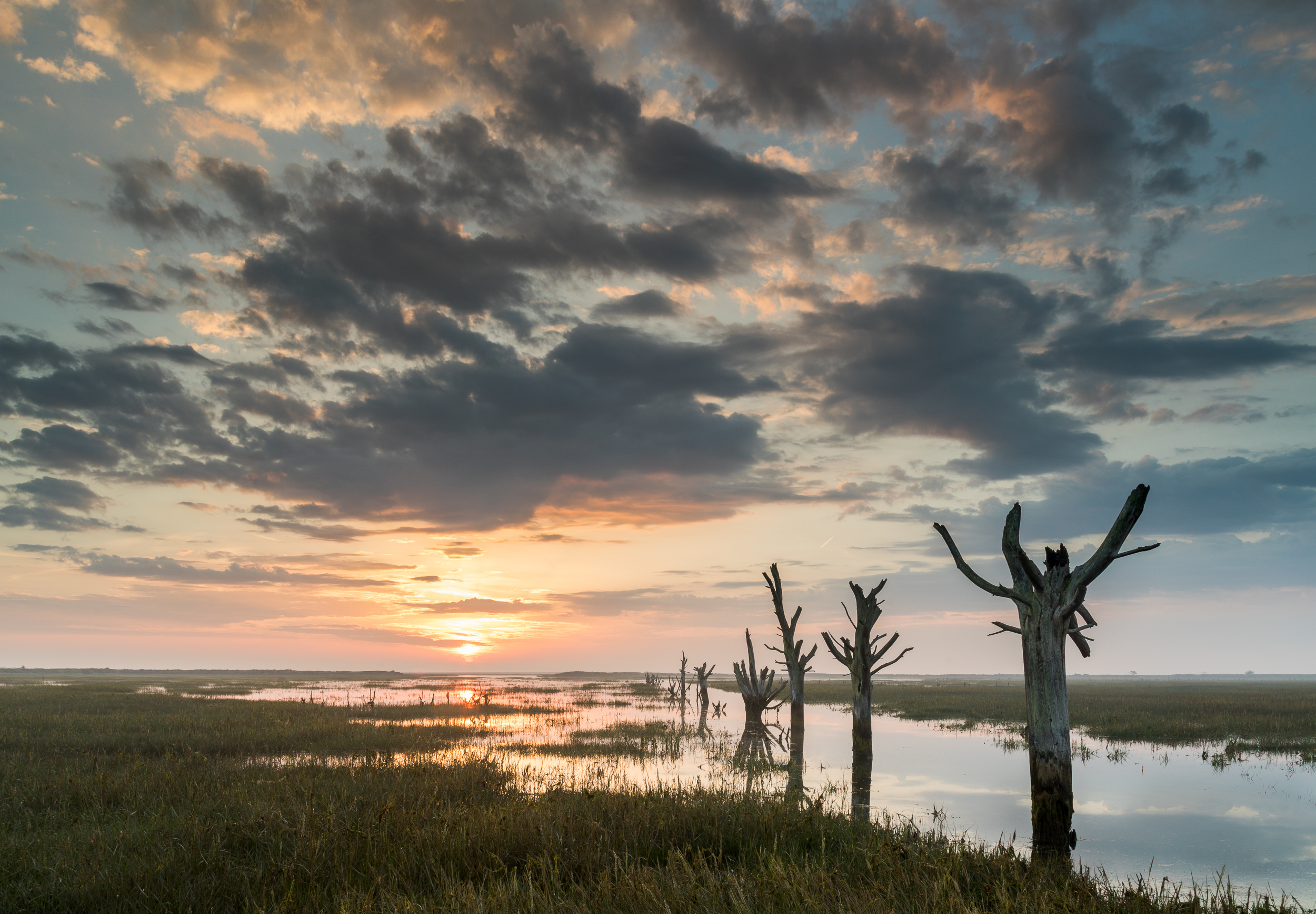 Sunrise on the Essex coast. Canon 5D mkIV, 16-35mm @ 20mm, 1.3sec, f16, ISO 100, Lee 0.9 reverse ND grad