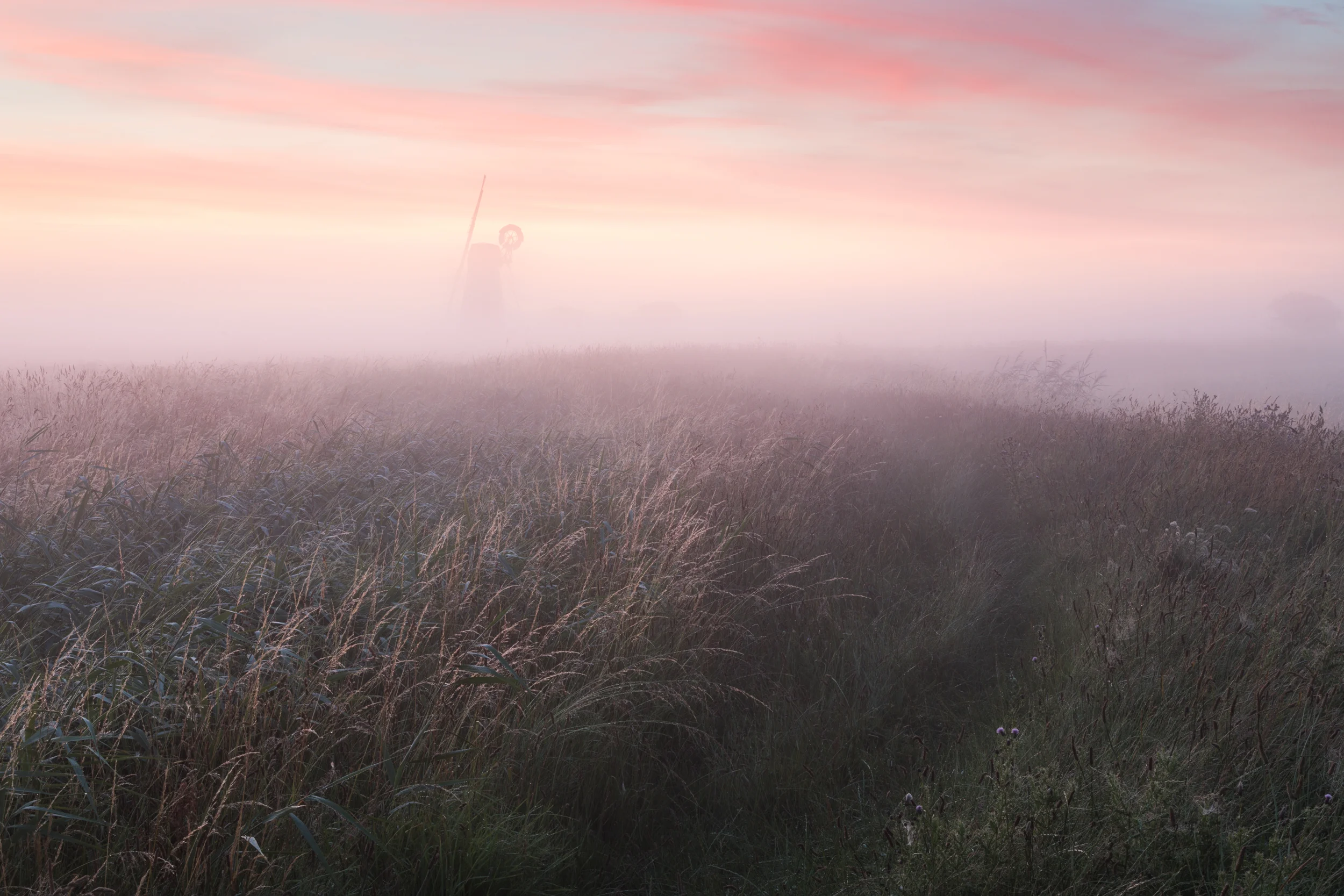 Halvergate marshes in the mist