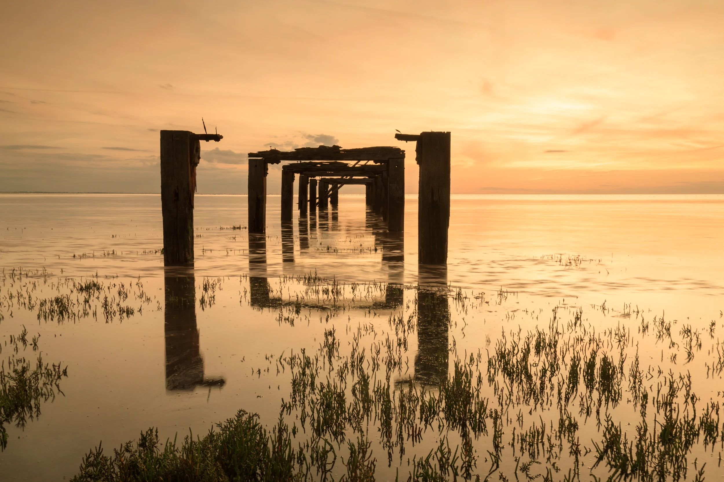 Golden light at Snettisham Norfolk