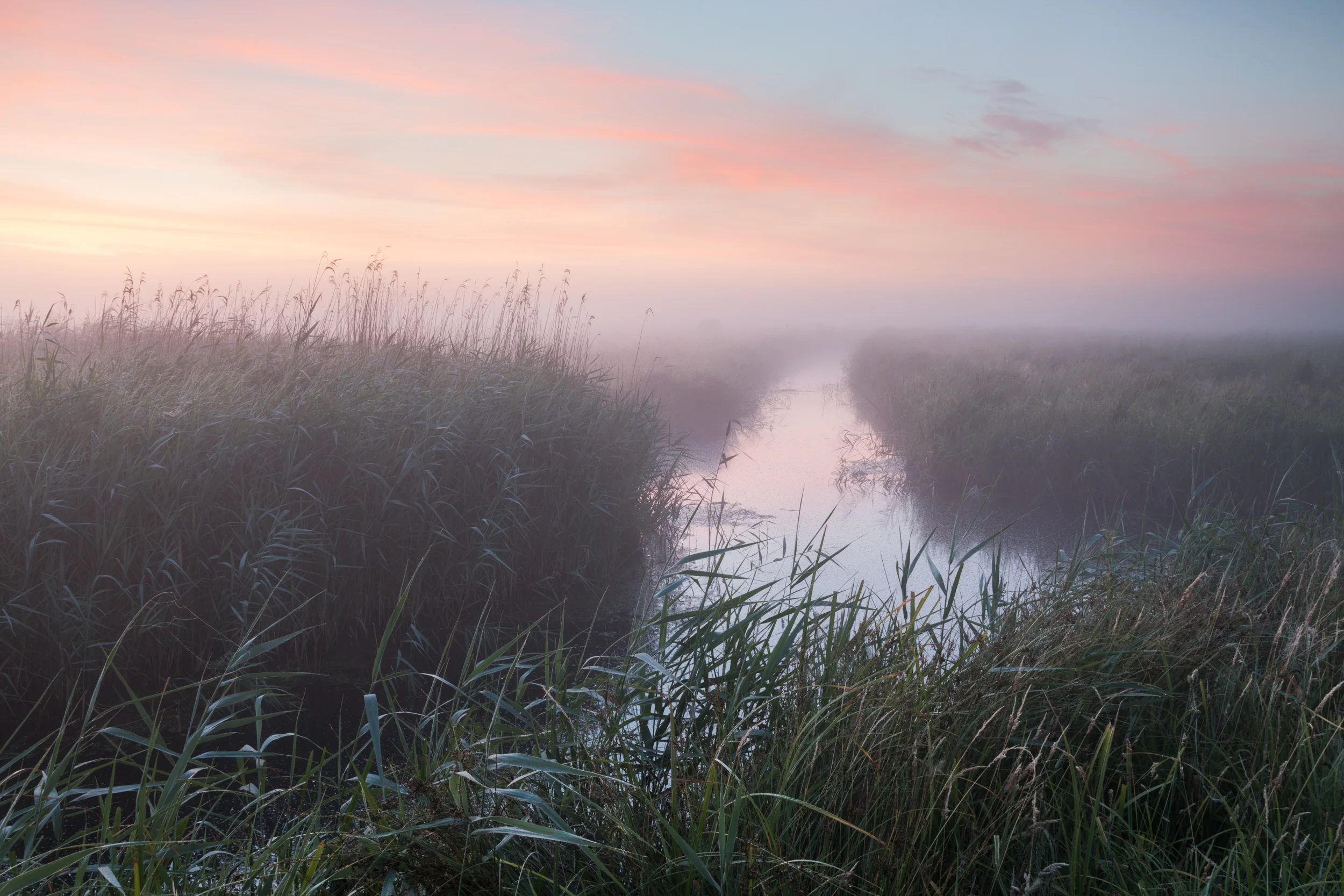 Dawn pastels Halvergate, Norfolk