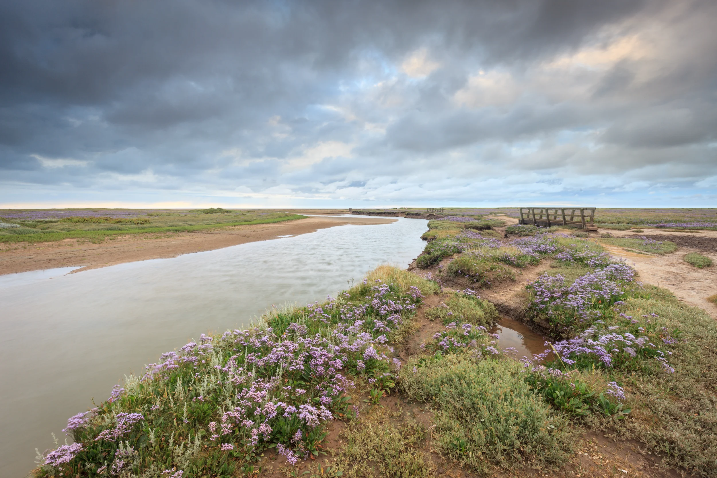 Stiffkey blues Stiffkey, Norfolk