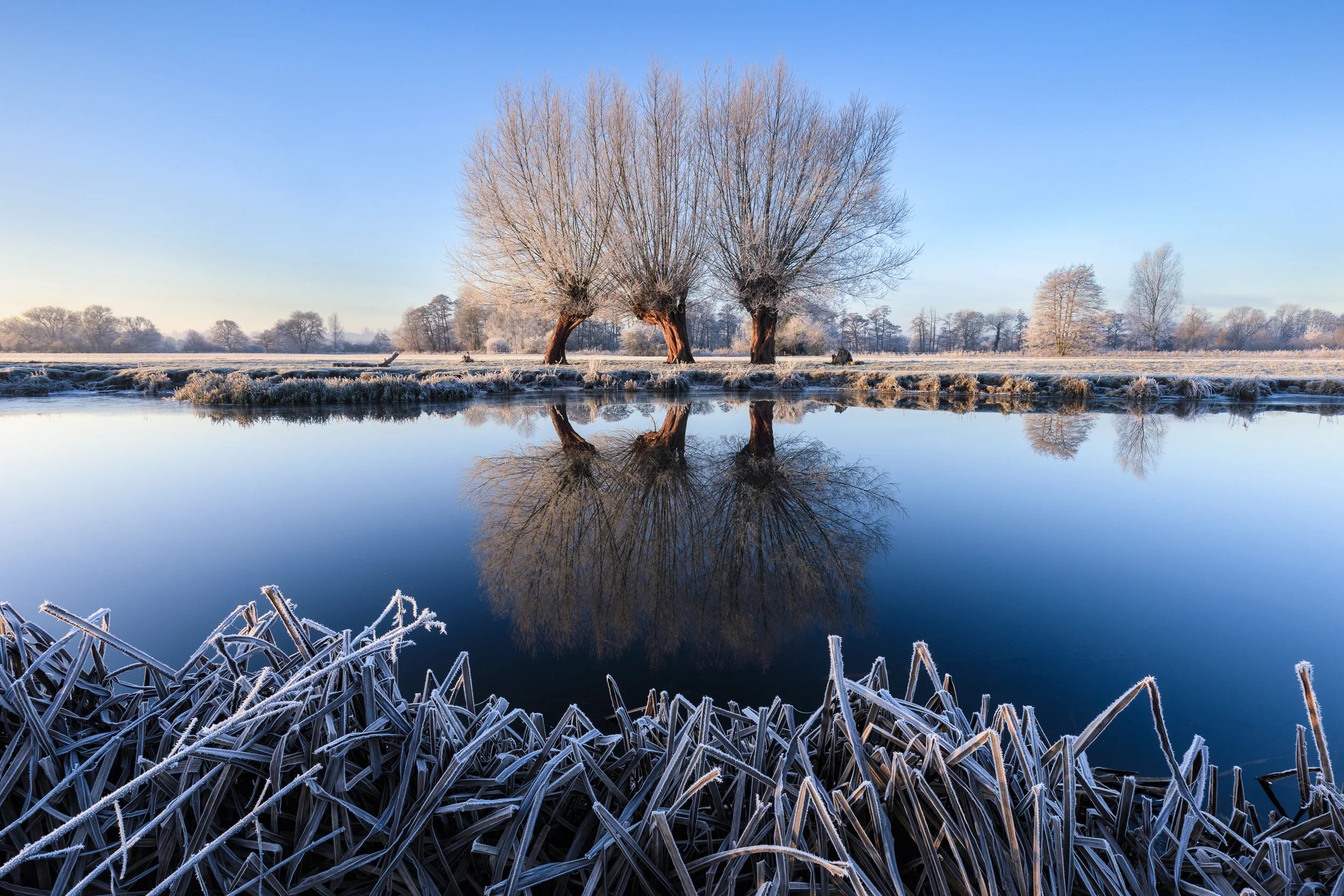 20161229-_S6A1791-Edit.jpg