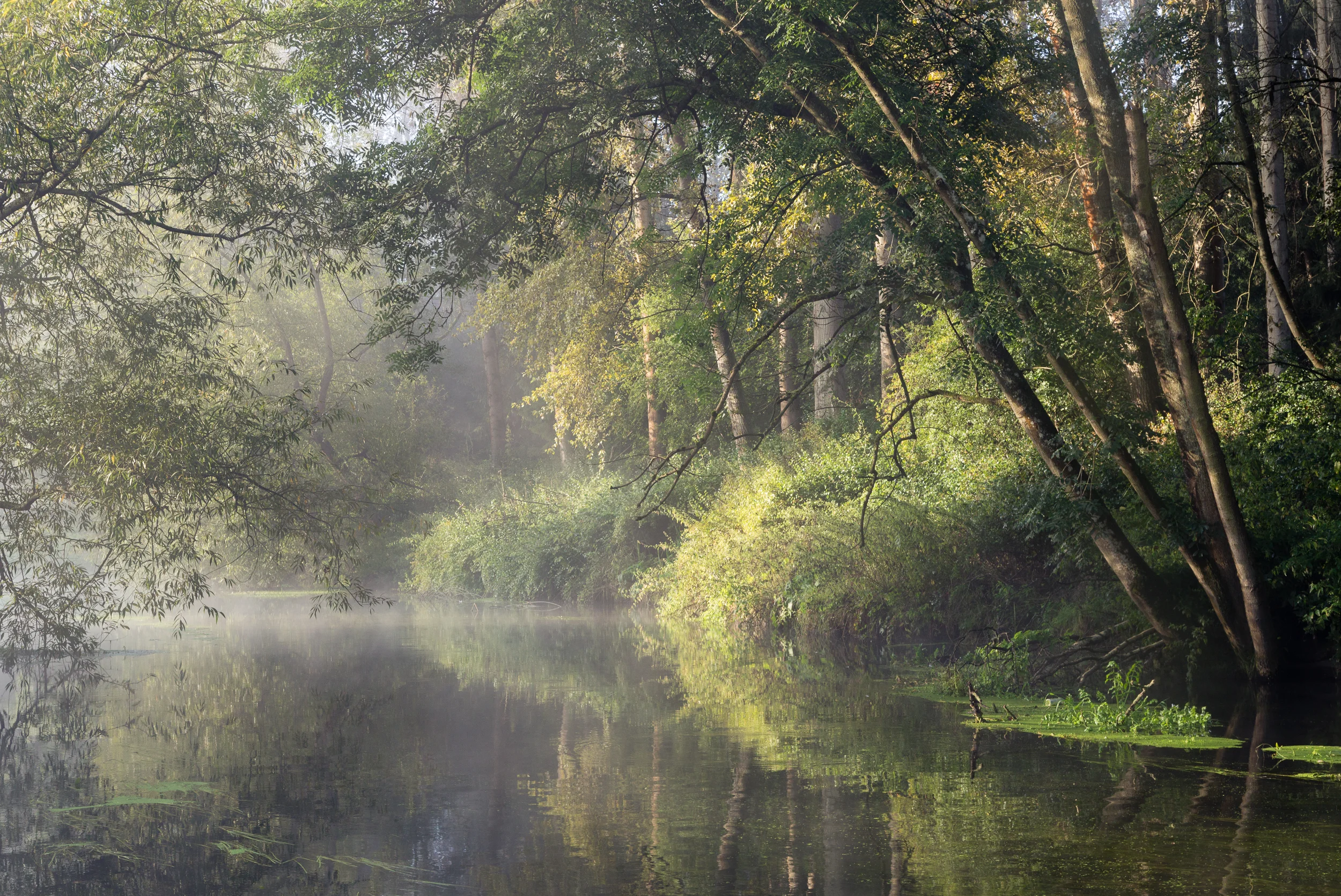 Three images commended in this year’s Landscape Photographer of the year competition
