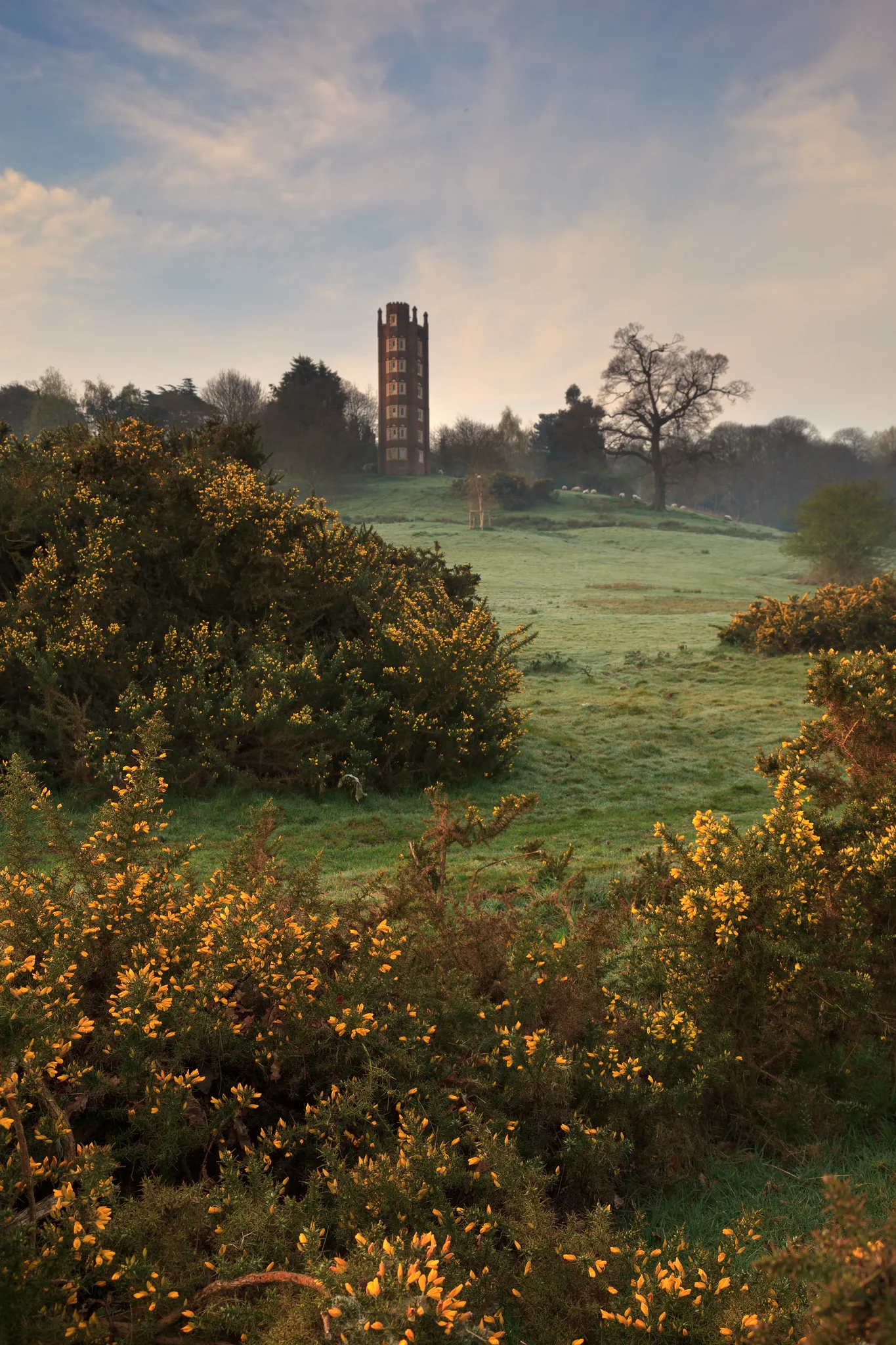 IMG_9984-Edit.jpg