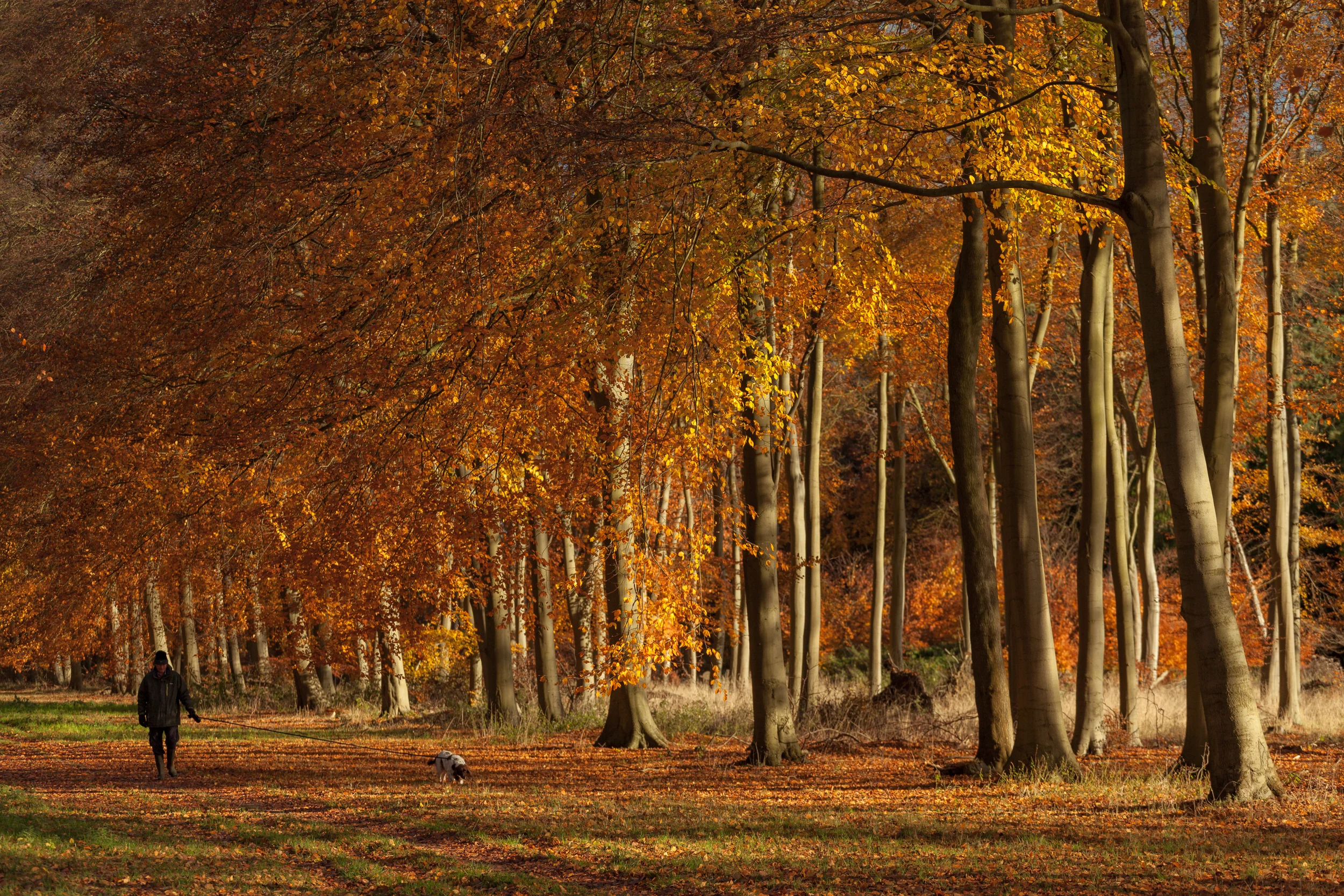 20161119-IMG_3208-Edit.jpg