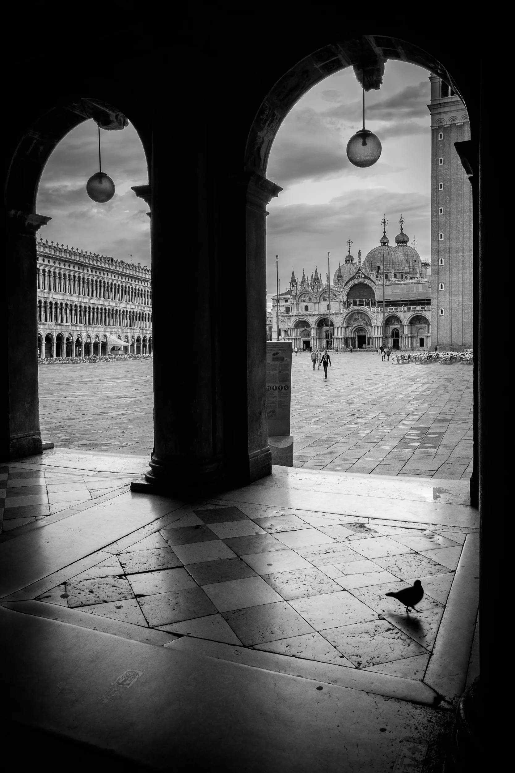 Early bird