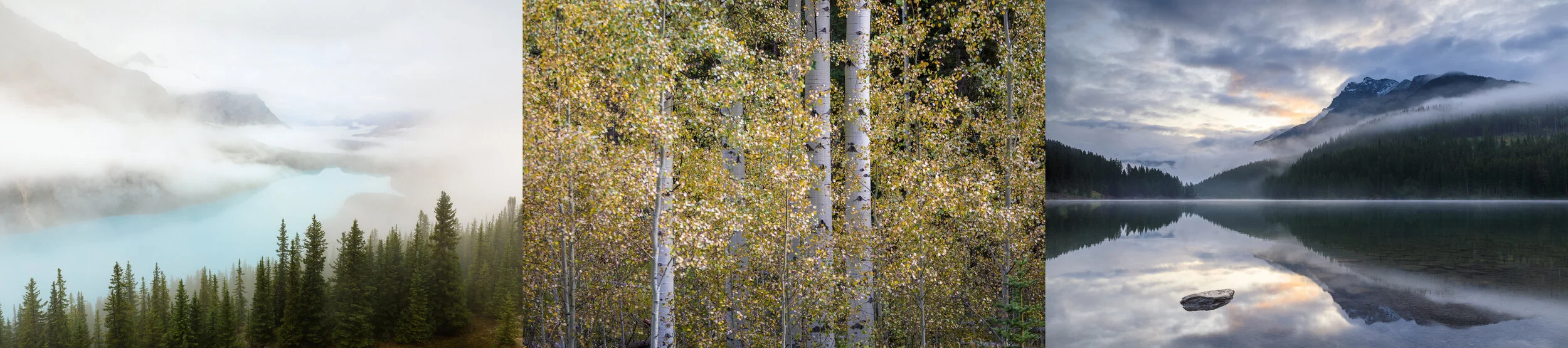 Signs of autumn in the Canadian Rockies