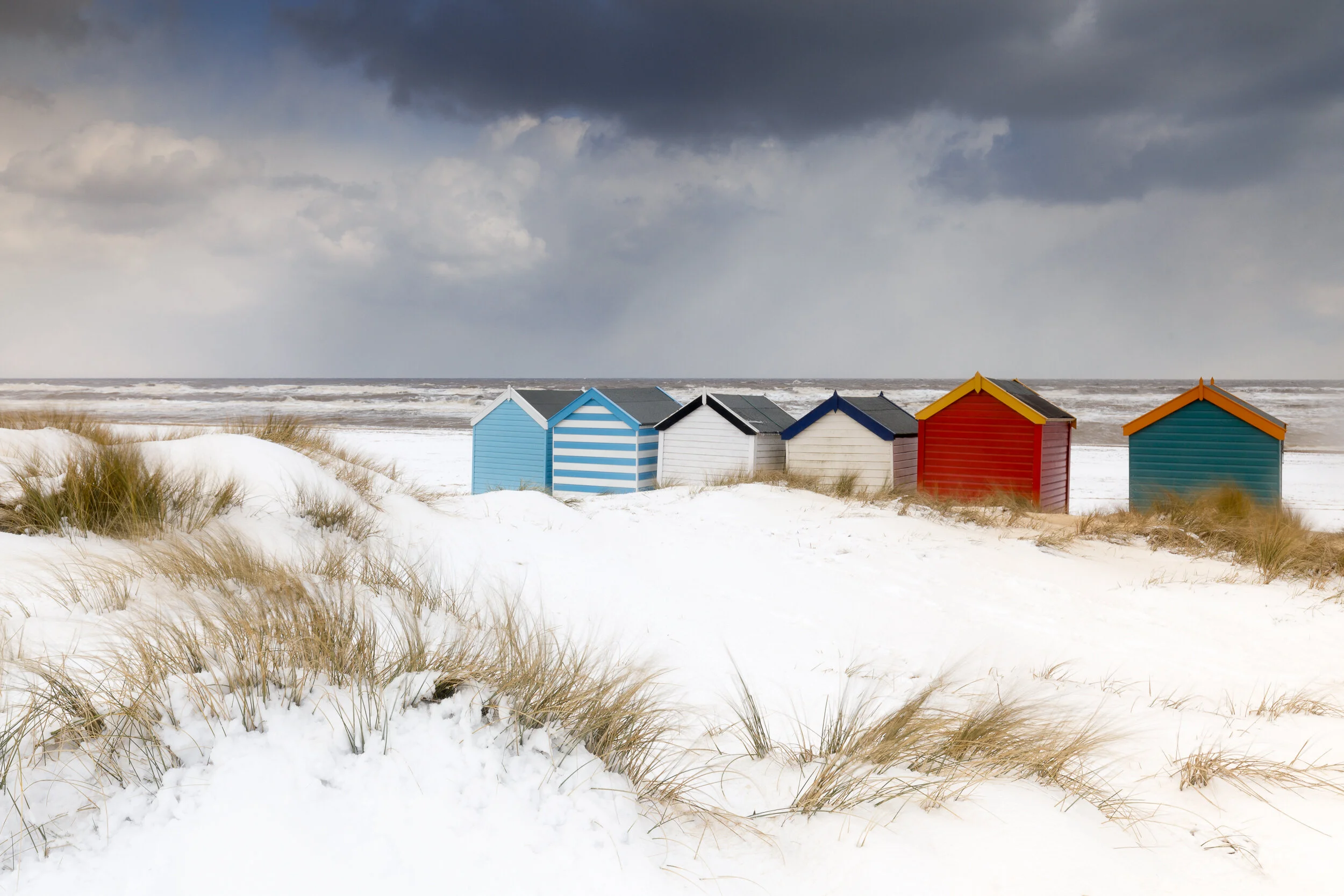 WILD SUFFOLK COAST  /  November 18th-20th 2026