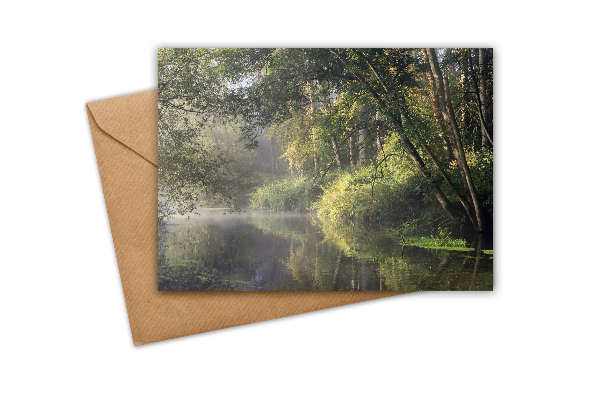 113 - Thetford in the mist