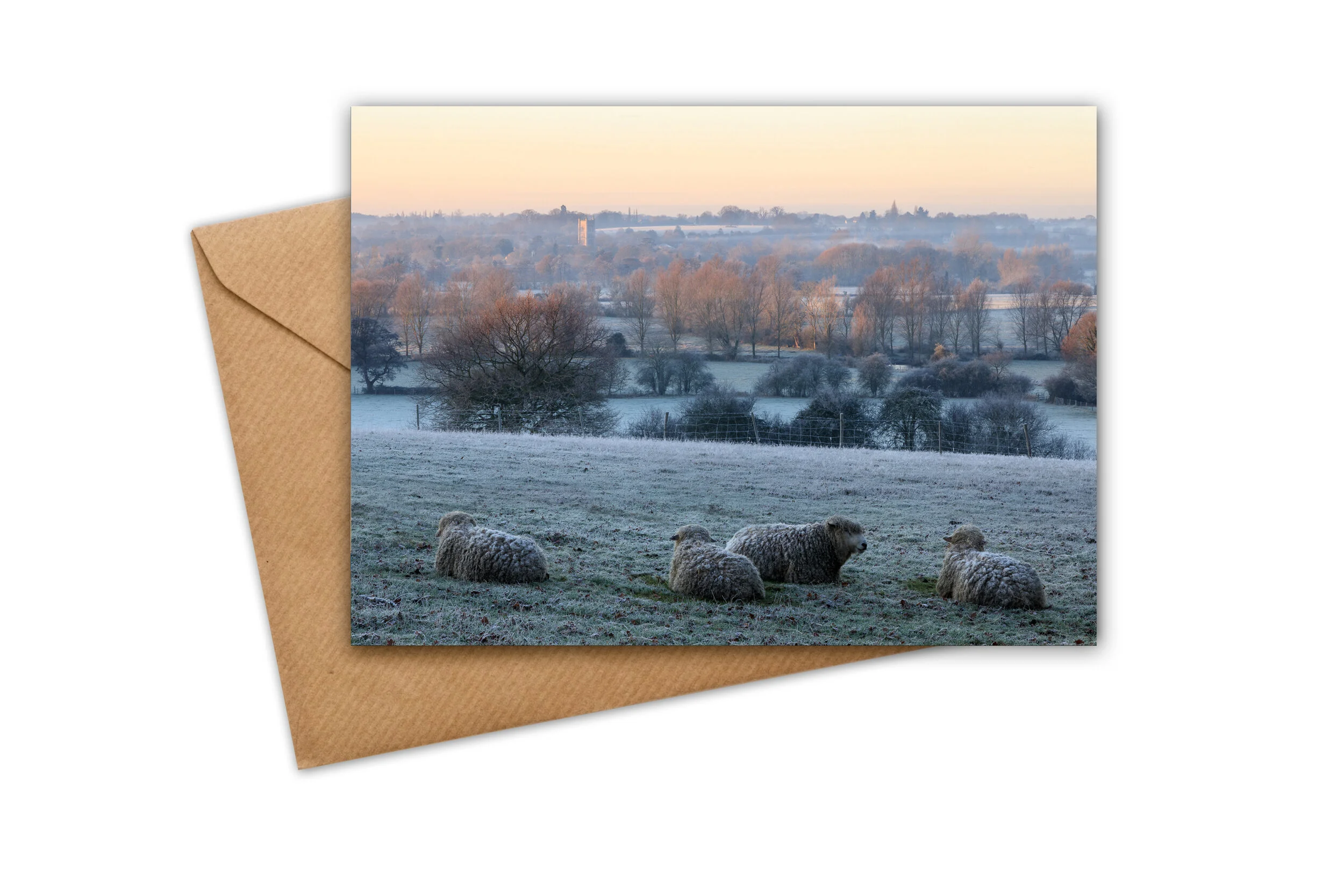 116 - A frosty flock