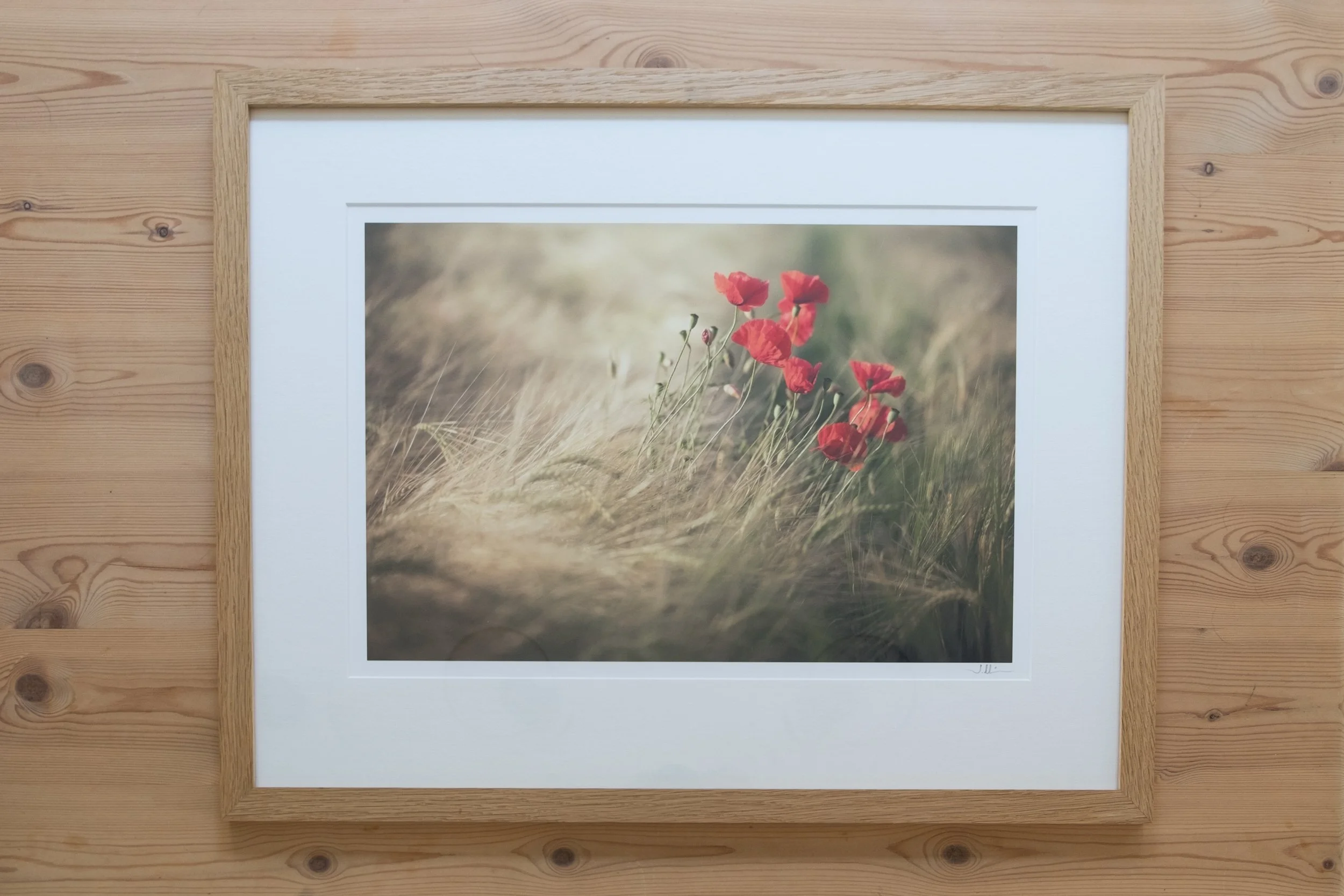 Soft touch - 15x10" framed print