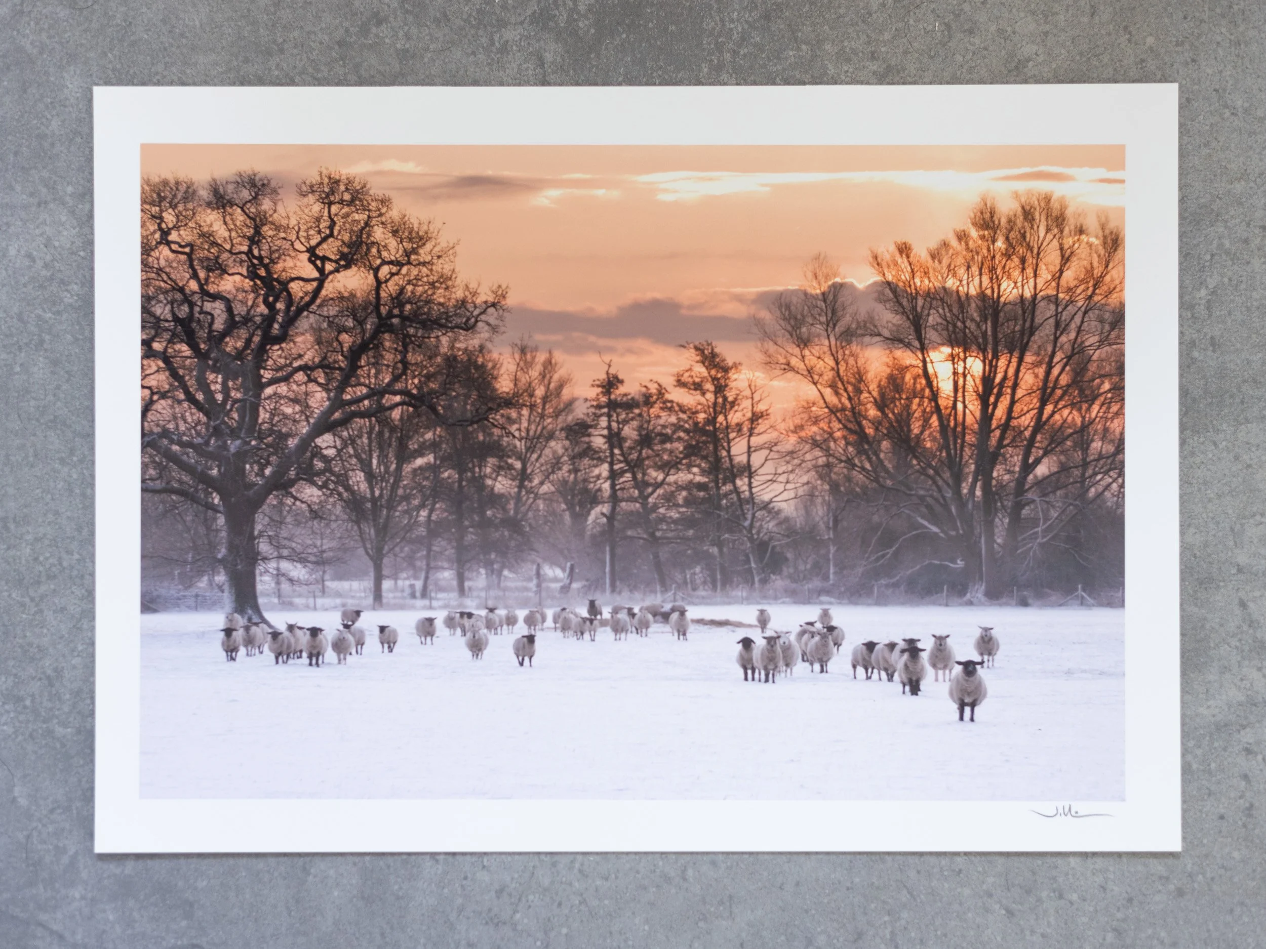 Winter glow - 15x10" fine art print