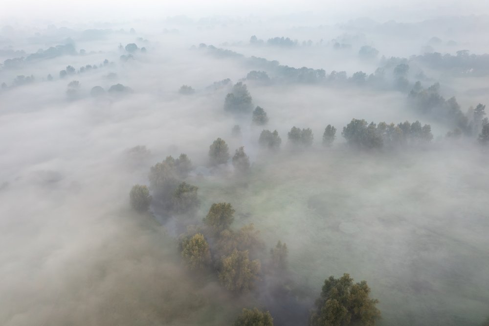 Dedham Vale in the mist