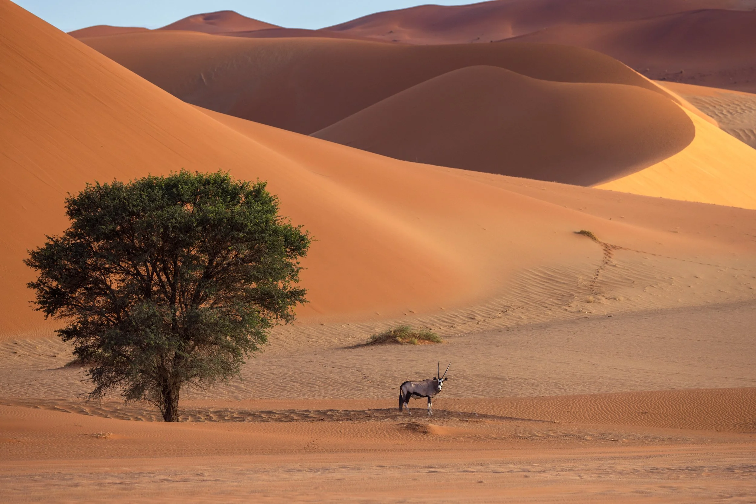 Namibia Landscape Photography Justin Minns Photography Namibia Landscape Photography Justin Minns Photography