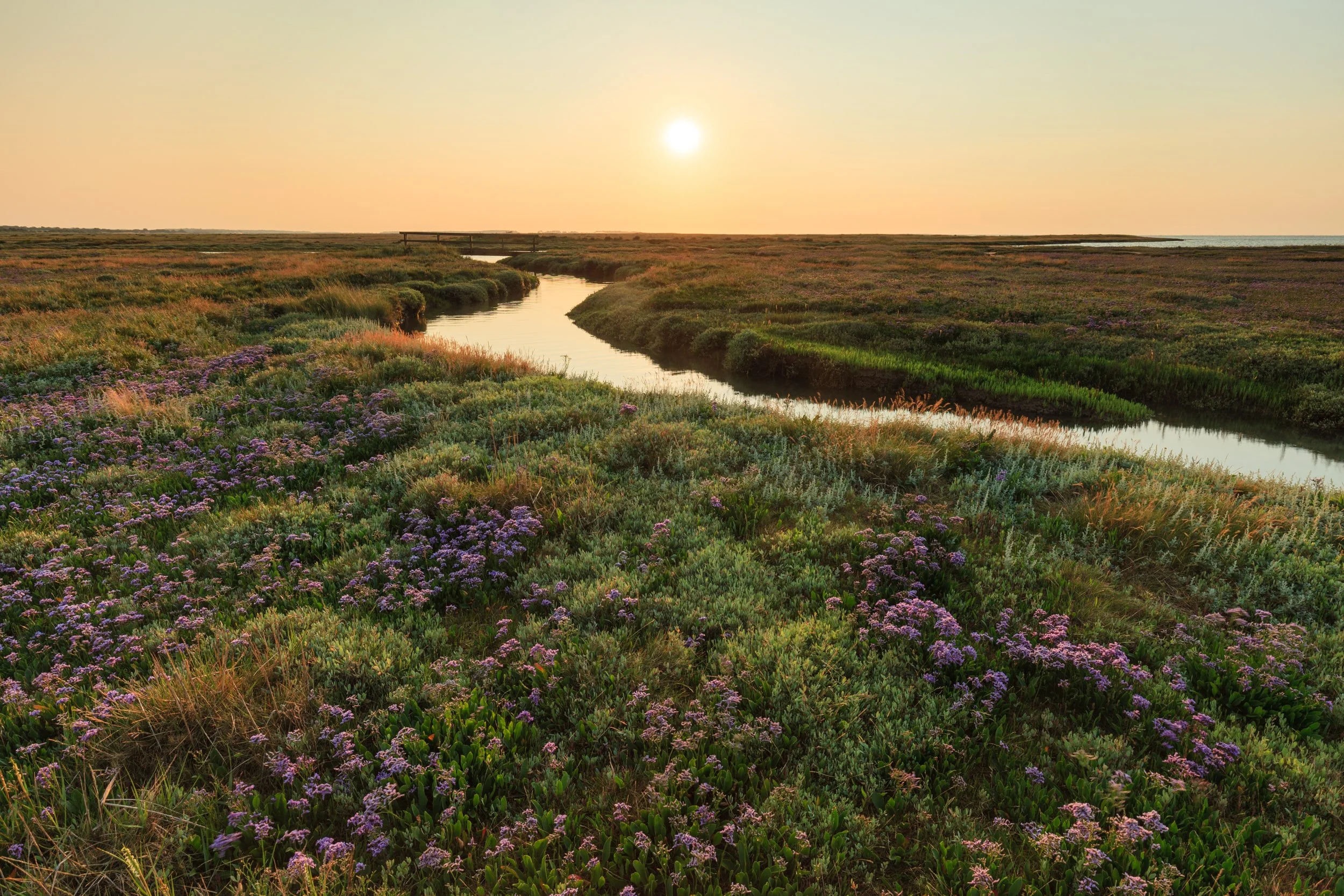 Norfolk Landscape Photography Justin Minns Photography