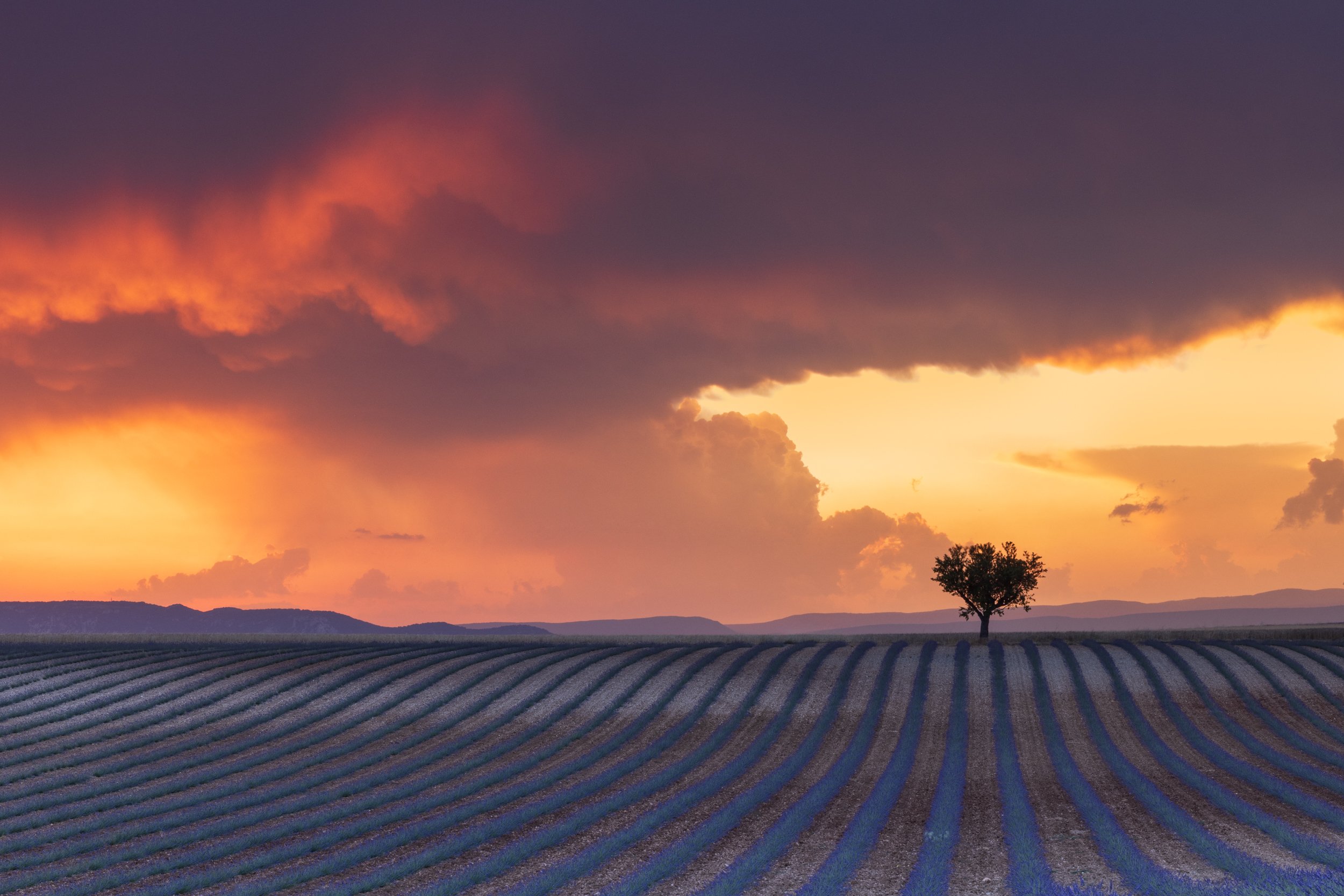 Justin Minns Photography | Award-Winning Landscape Photographer in East ...