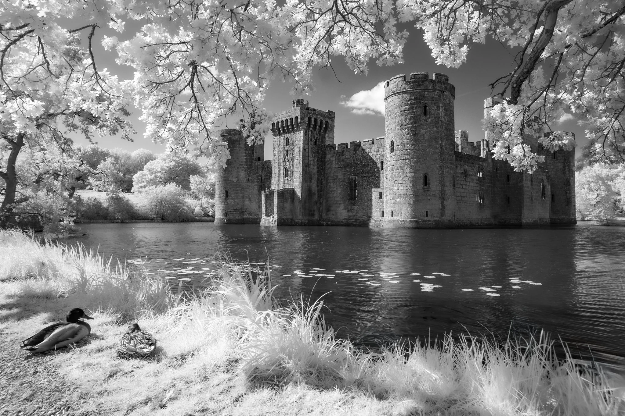 Last week I had a talk down at Tonbridge Camera Club in Kent so we decided to make a day of it and spend some time exploring with the infrared cameras... here are a couple of faves... Thanks to everyone at Tonbridge CC for such a warm welcome!