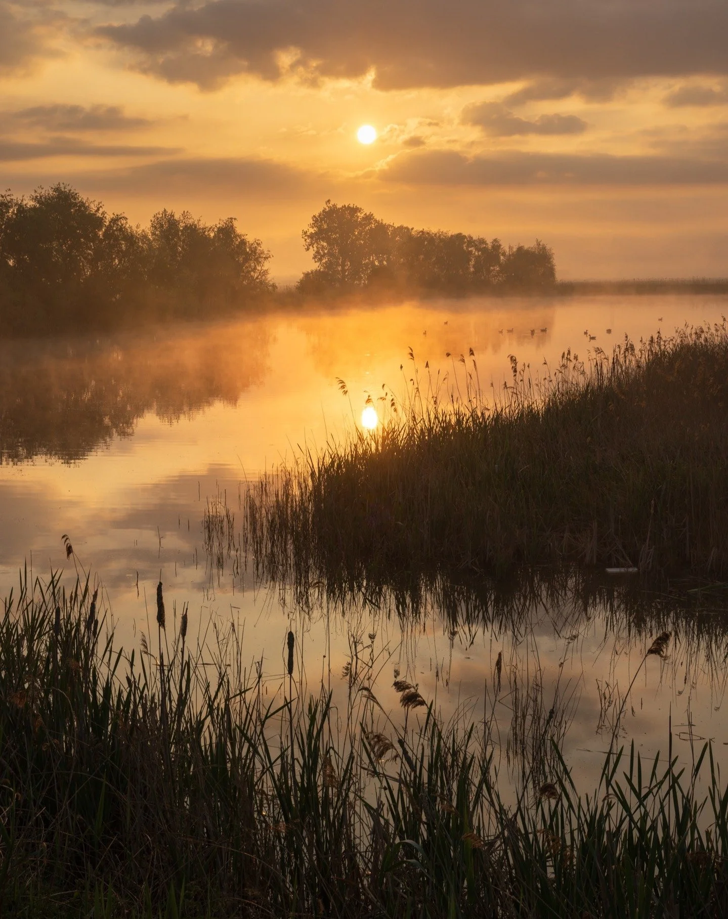 A busy (and mixed) day of photography yesterday... We started with a 3am alarm call to go to Ely for sunrise (a good one thankfully!) then after a nap, a trip to Bury St Edmunds for the opening of the excellent EAF exhibition (and catch up with a few