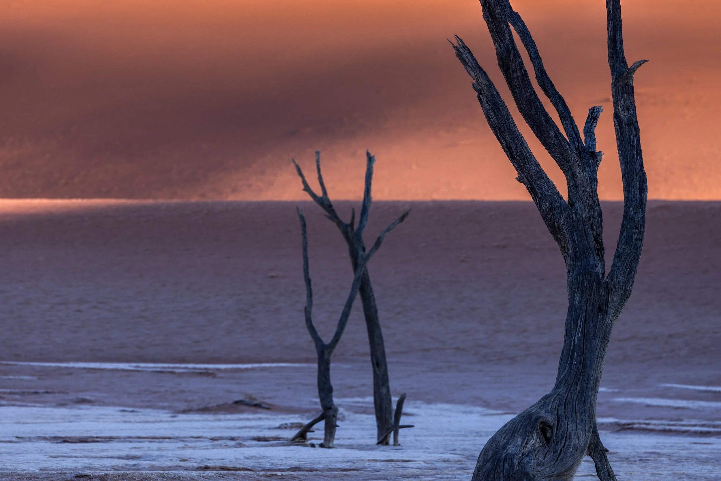 Deadvlei silhouettes no.4