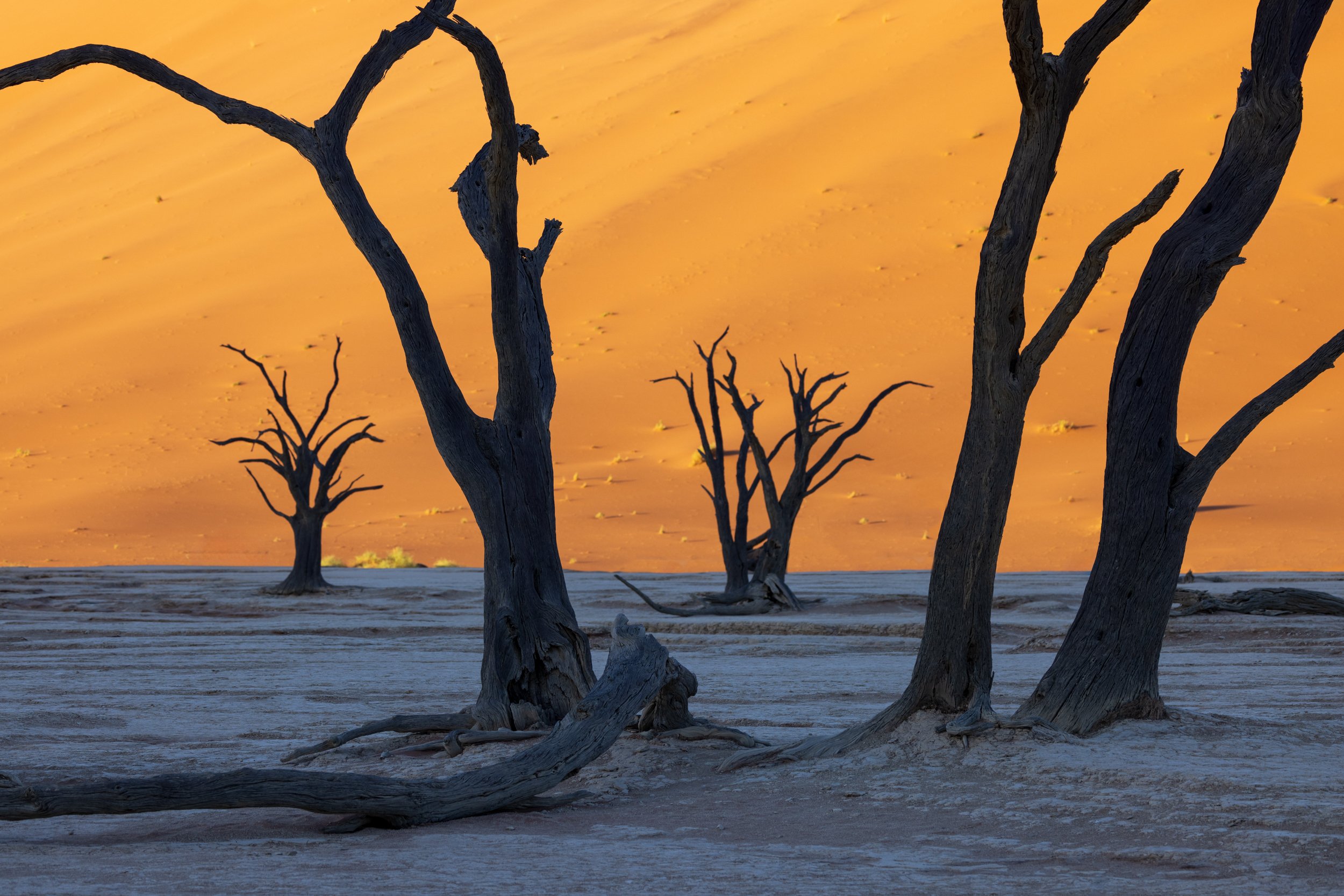 Deadvlei silhouettes no.3