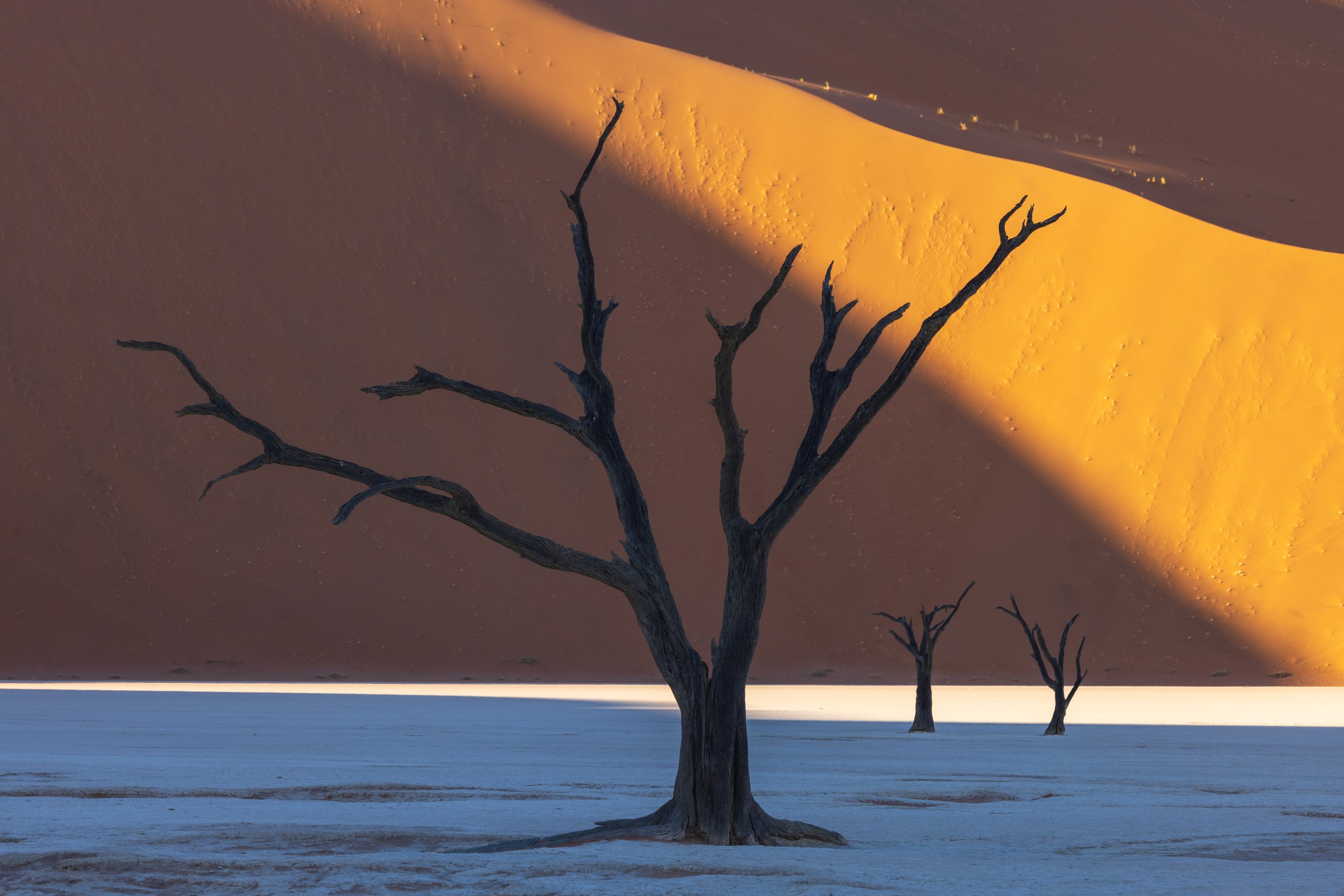 Deadvlei shadows no.2