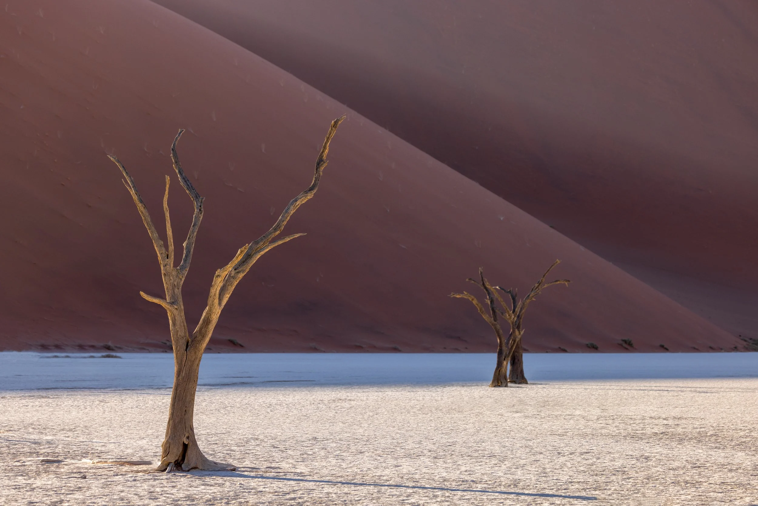Deadvlei shadows no.4