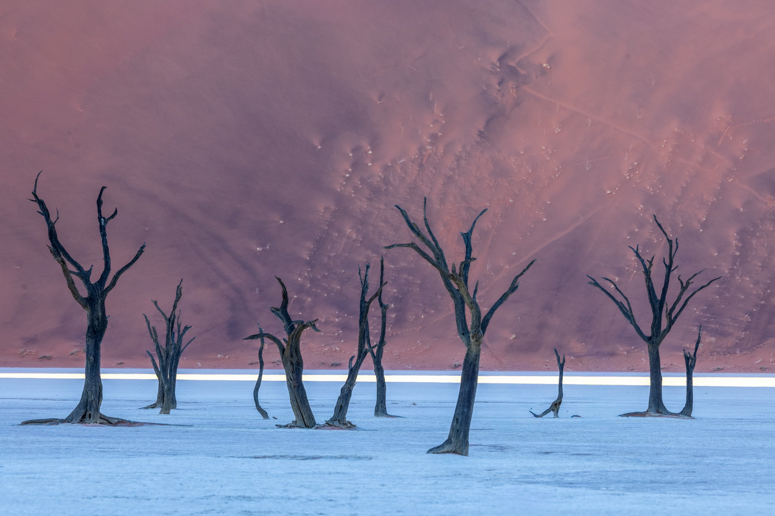 Deadvlei shadows no.5
