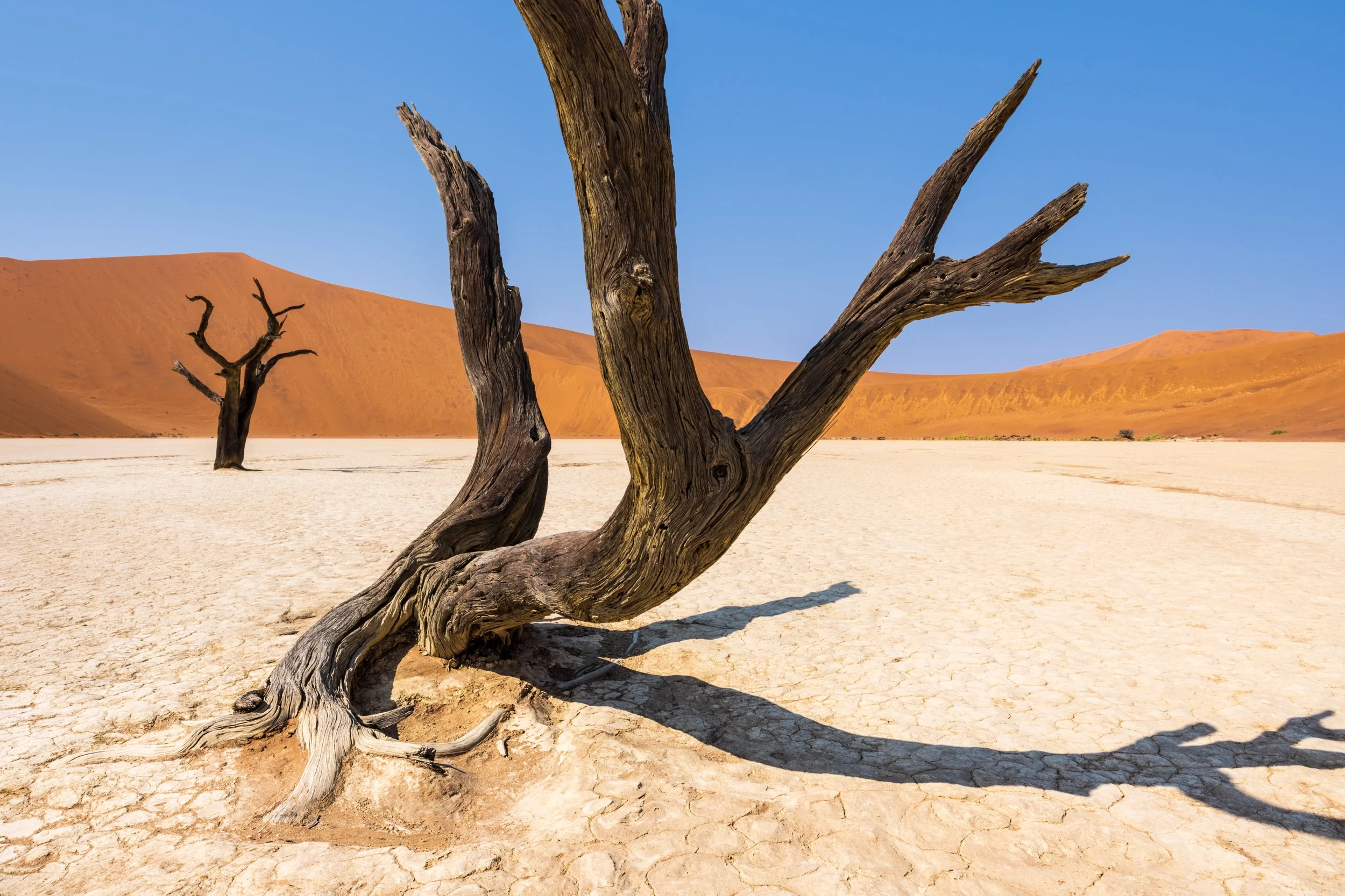 Deadvlei, Namibia