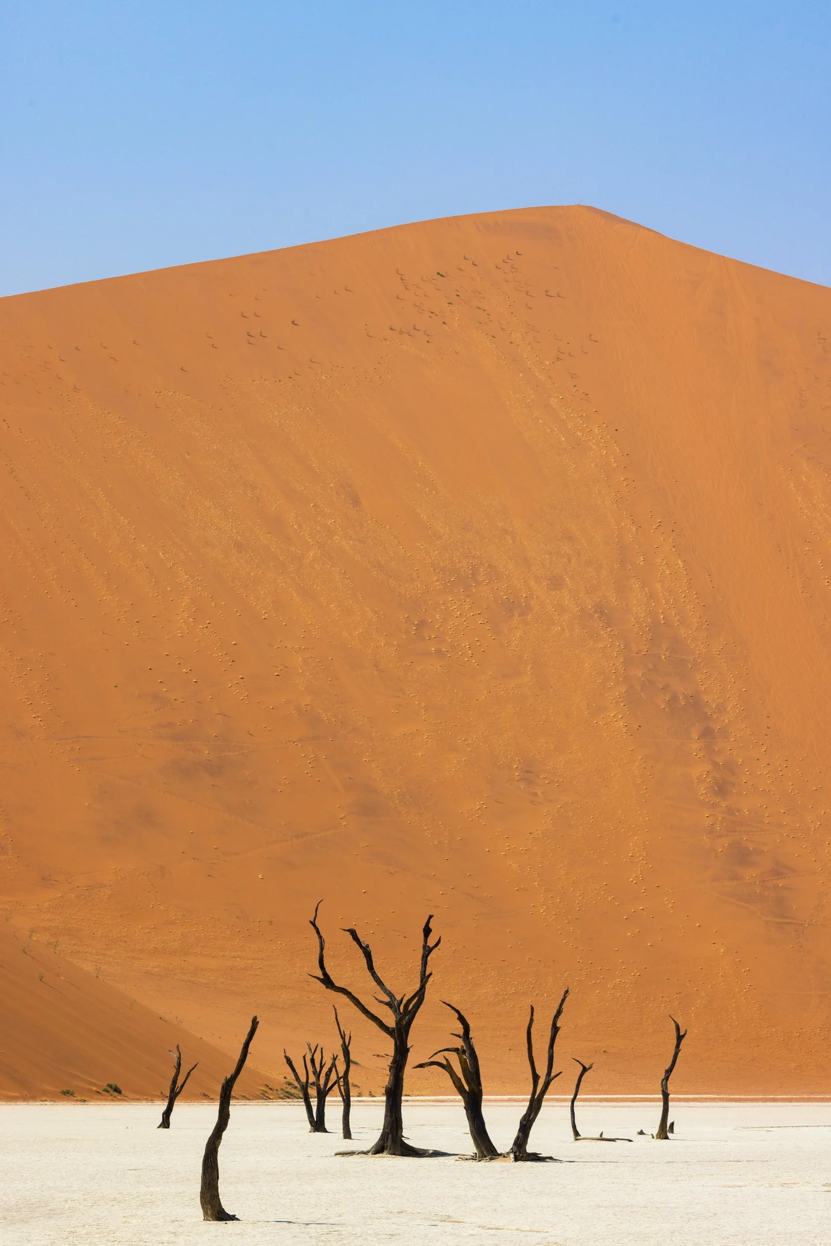 Deadvlei, Namibia