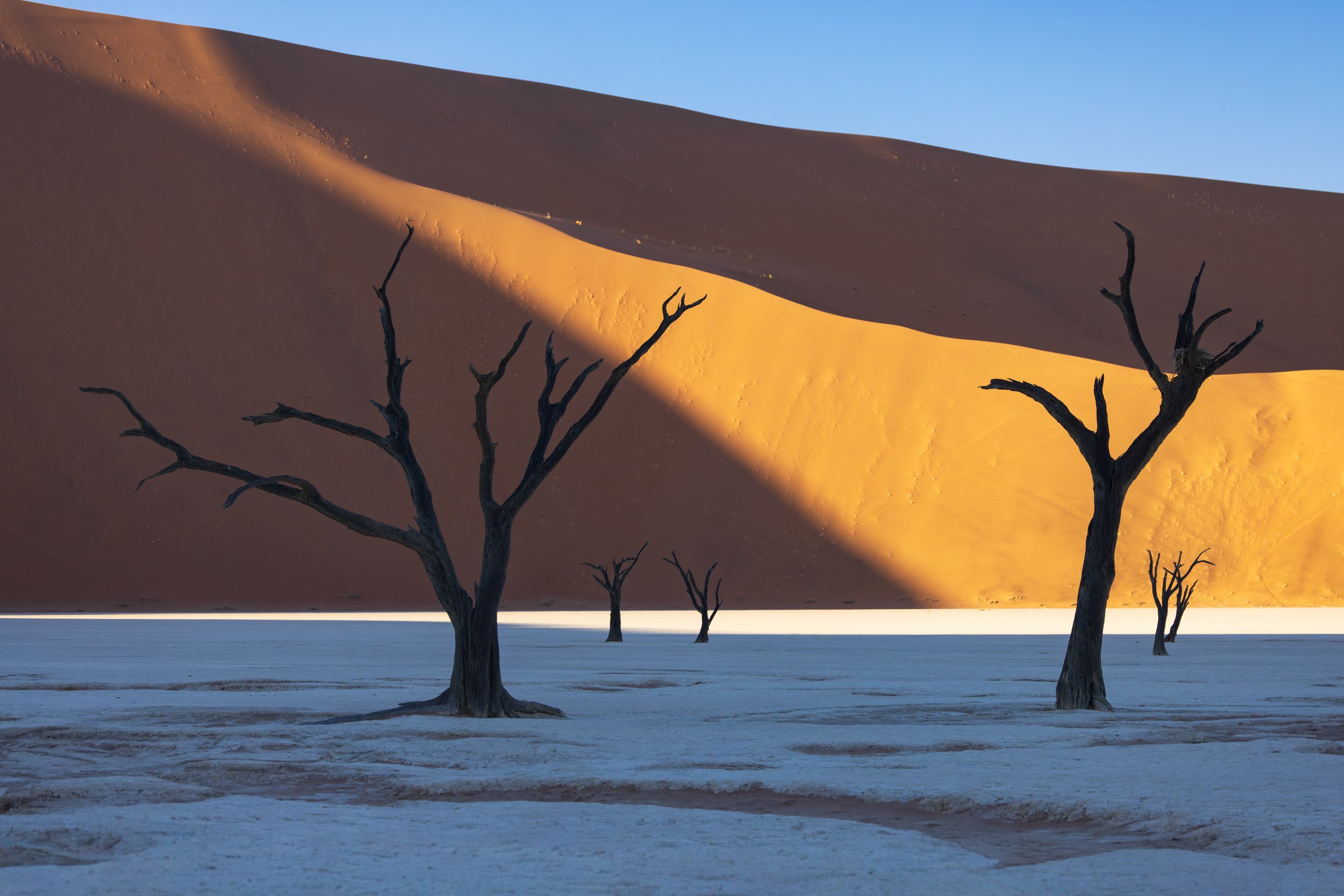 NAMIBIA-21.jpg