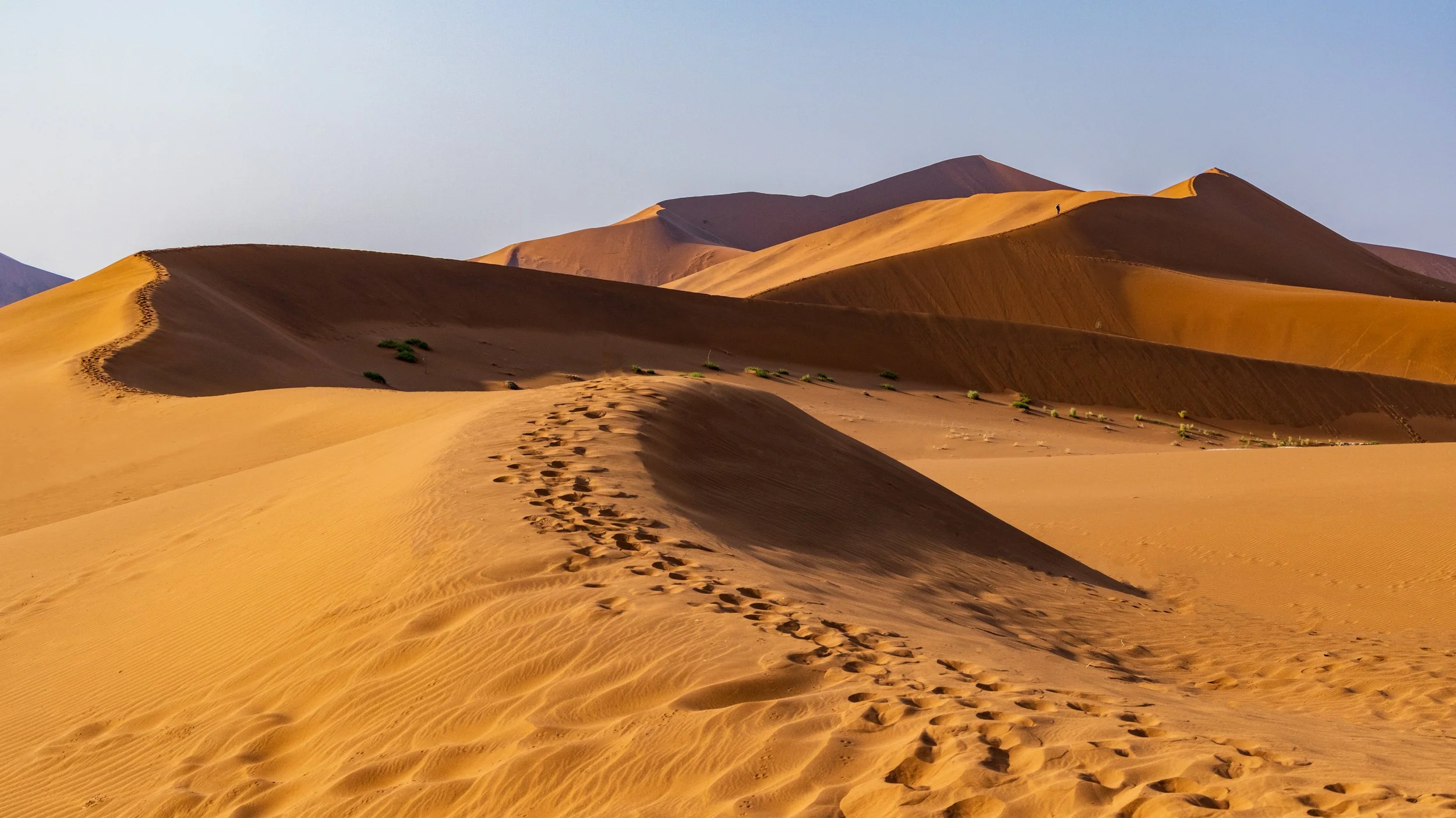 Path into the desert