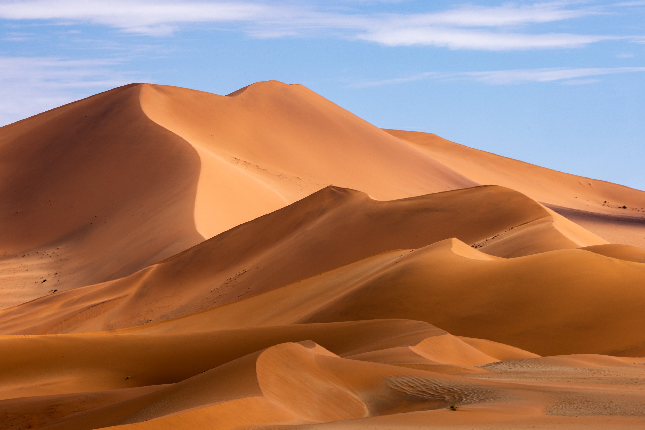 Dunes of the Namibia desert
