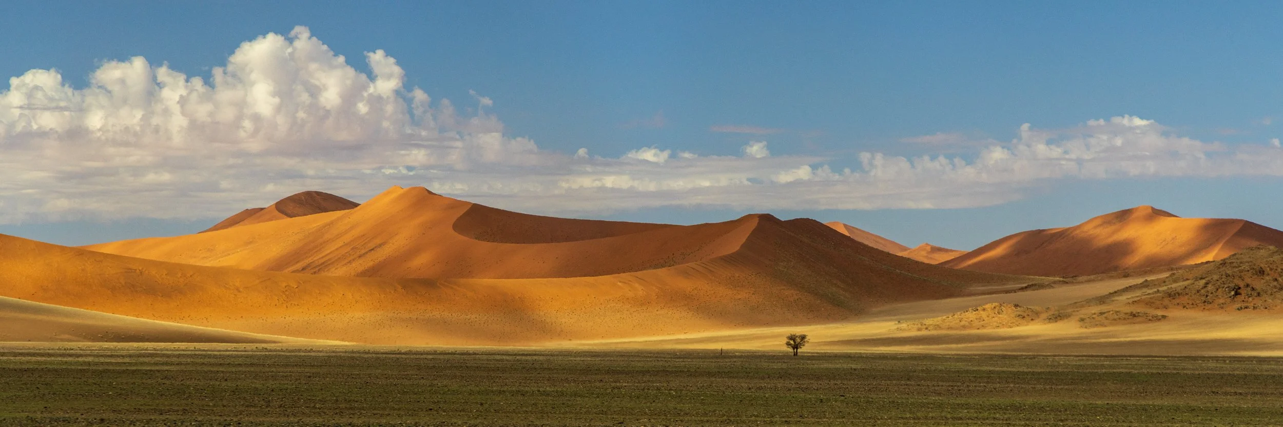 Namibia desert panorama no.2