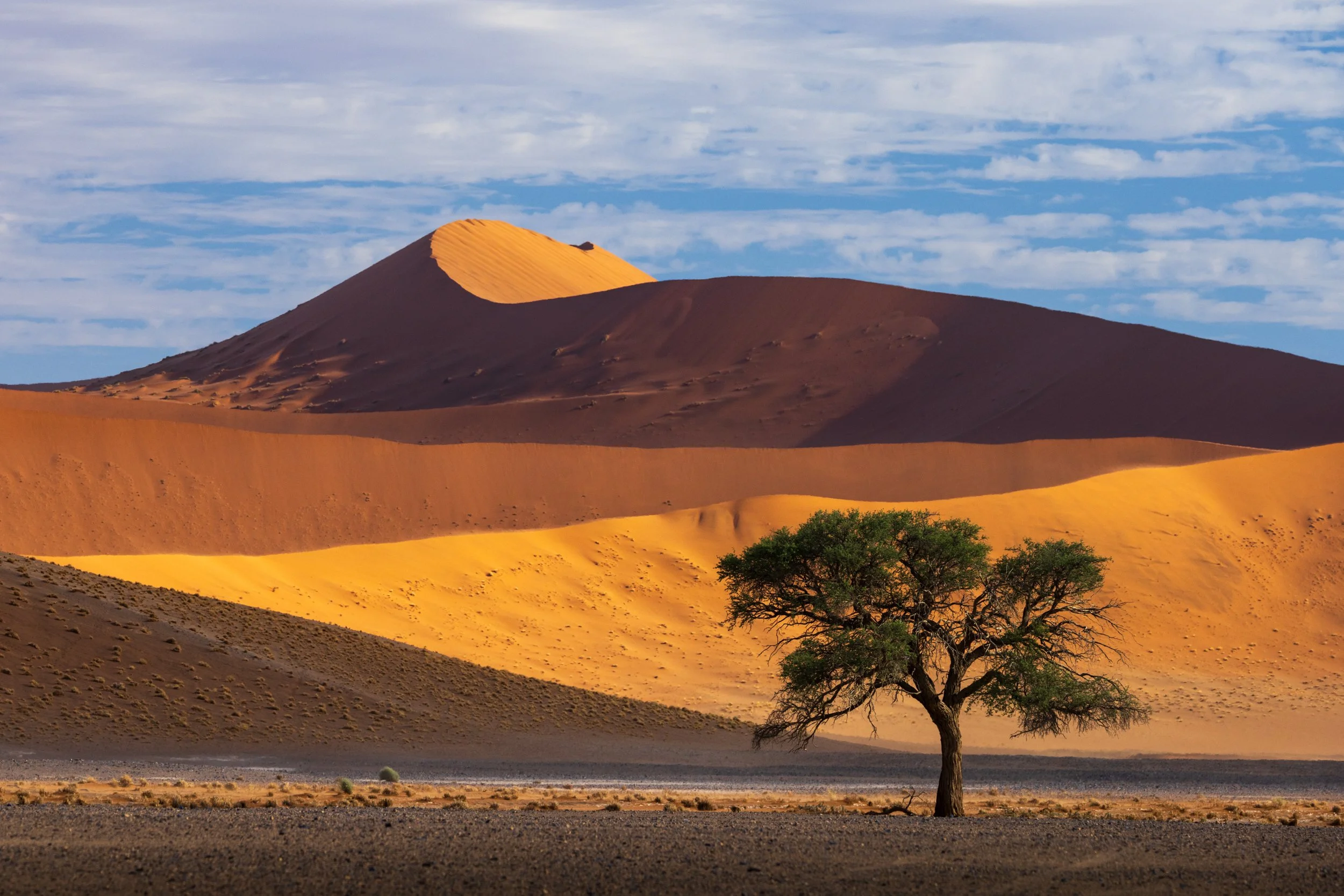 NAMIBIA-29.jpg