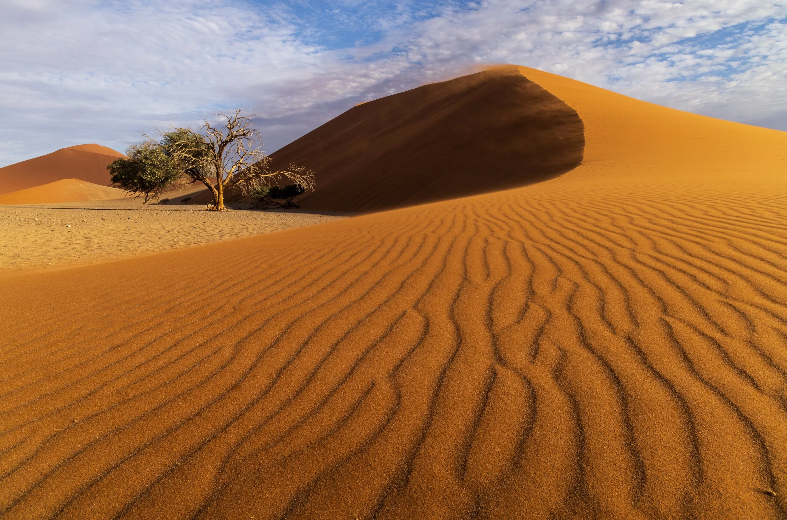 Dune 45