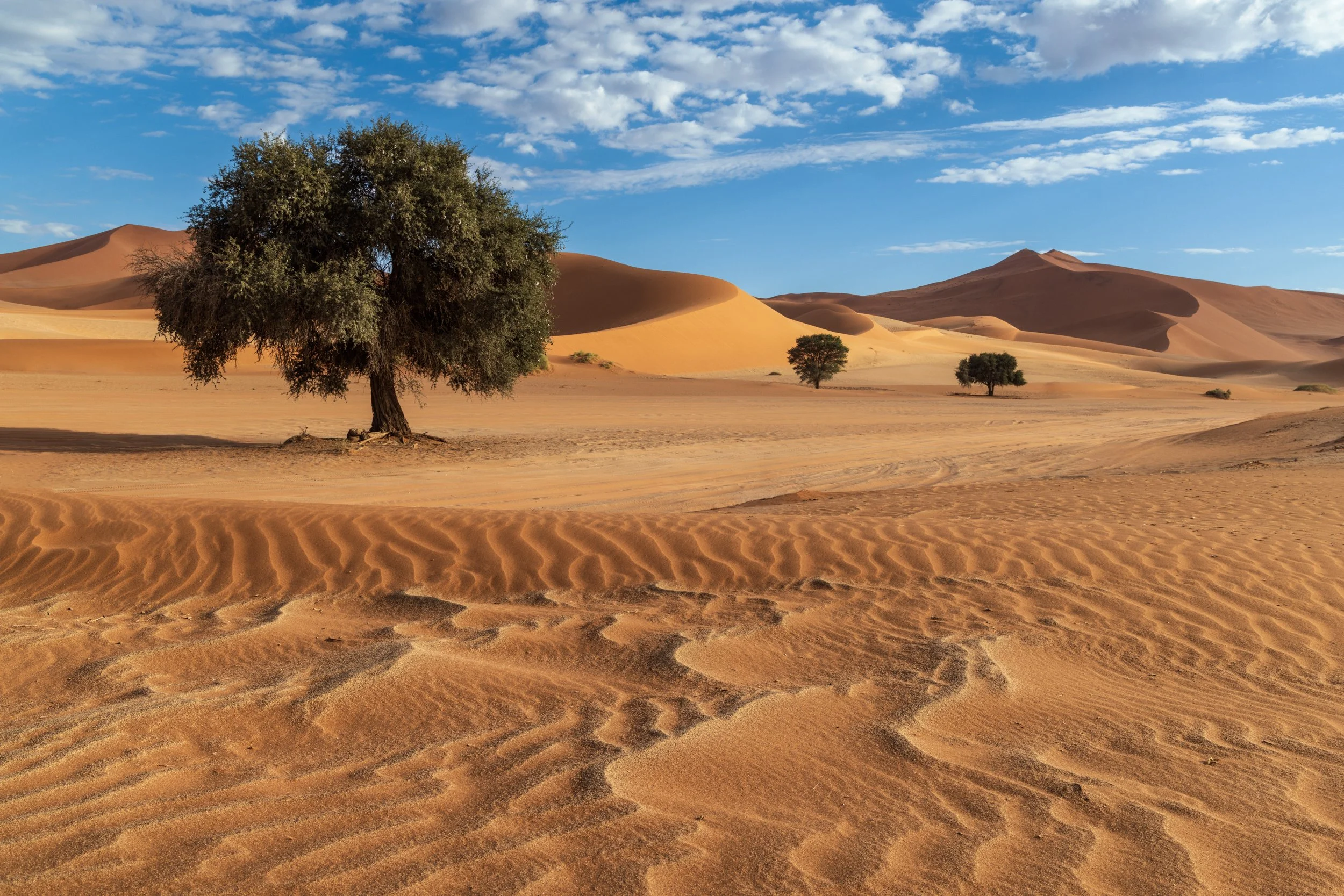 NAMIBIA-33.jpg
