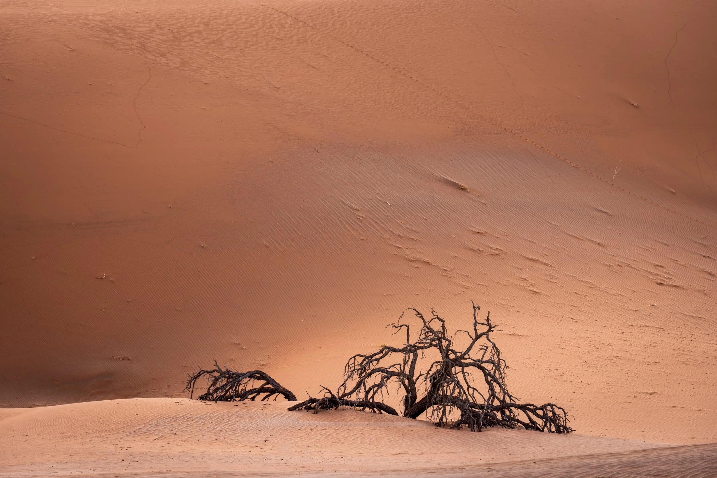 Buried in sand