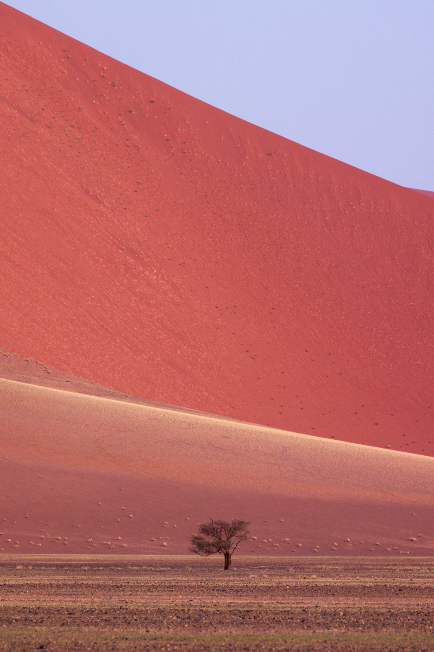 Dusk in the desert