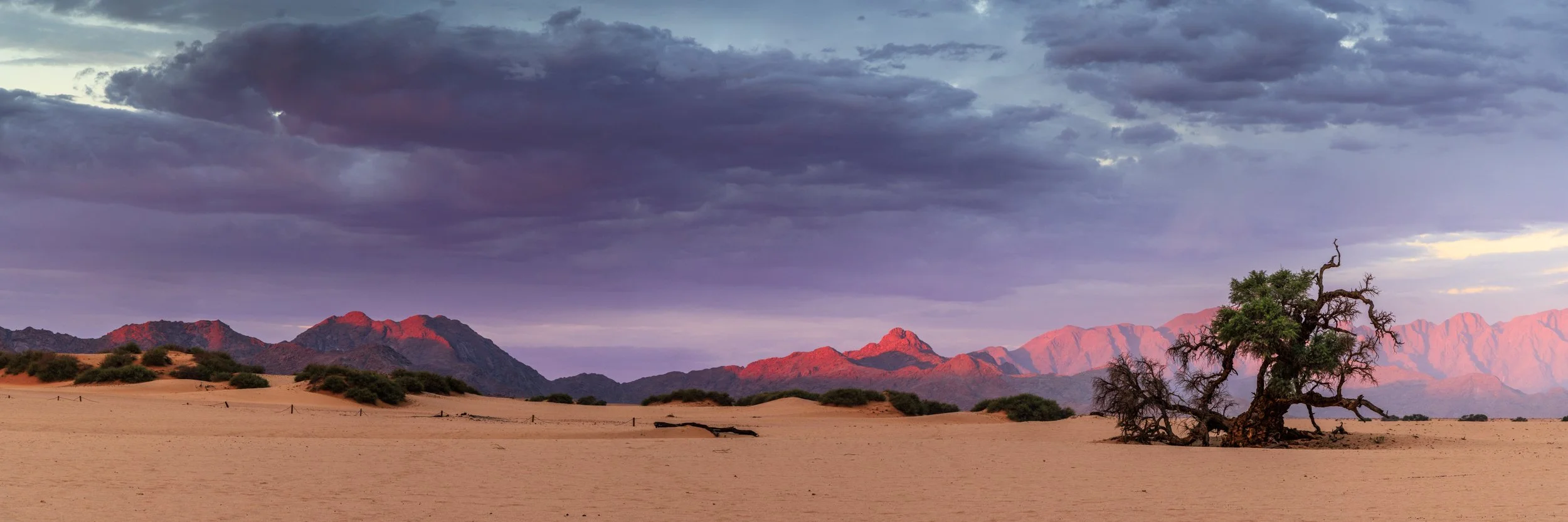 NAMIBIA-51.jpg