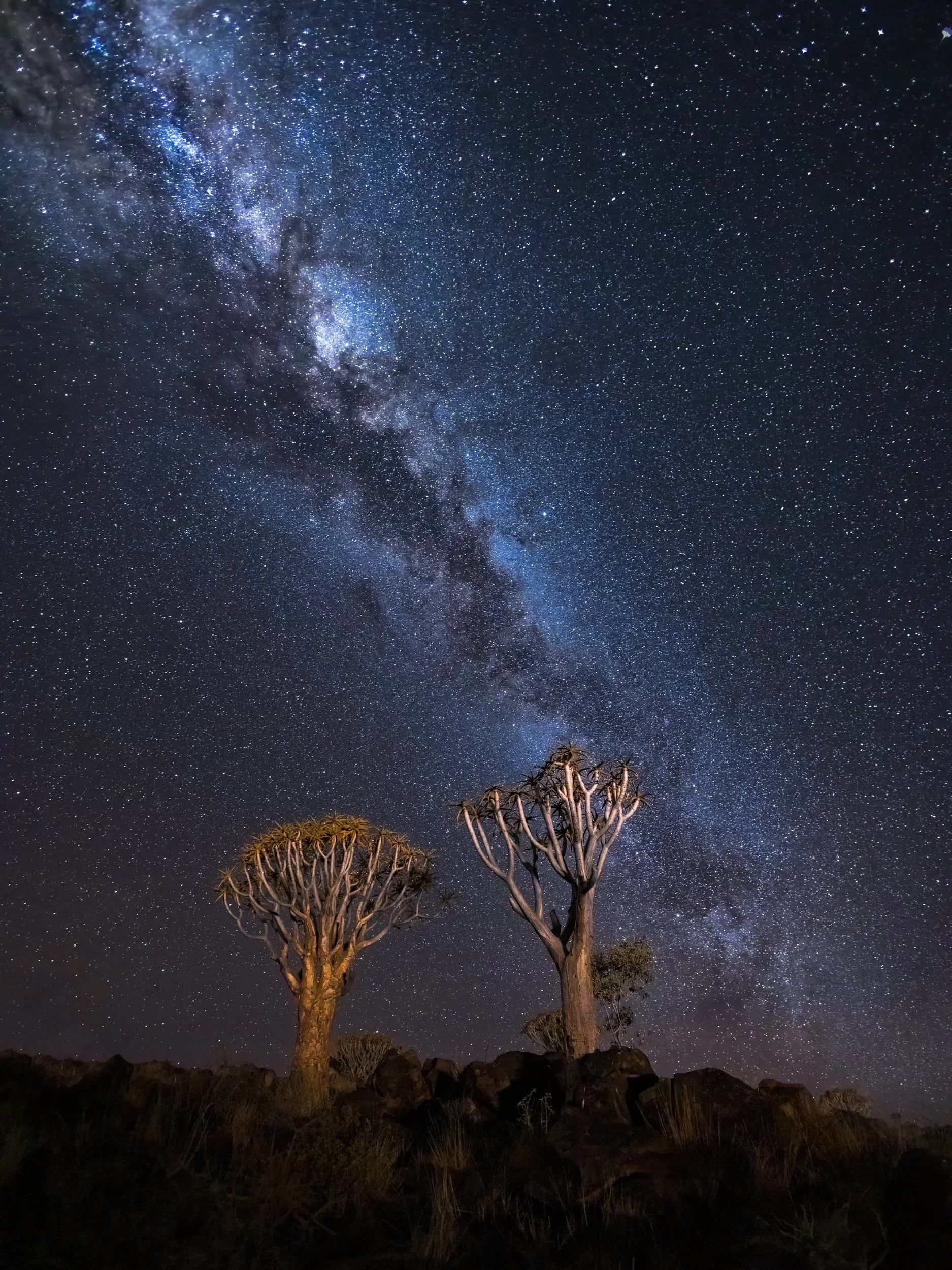 Quiver trees and the Milky Way