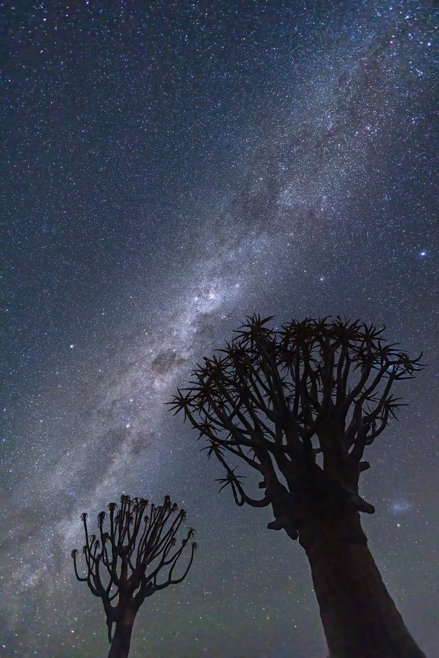 Quiver trees and the Milky Way
